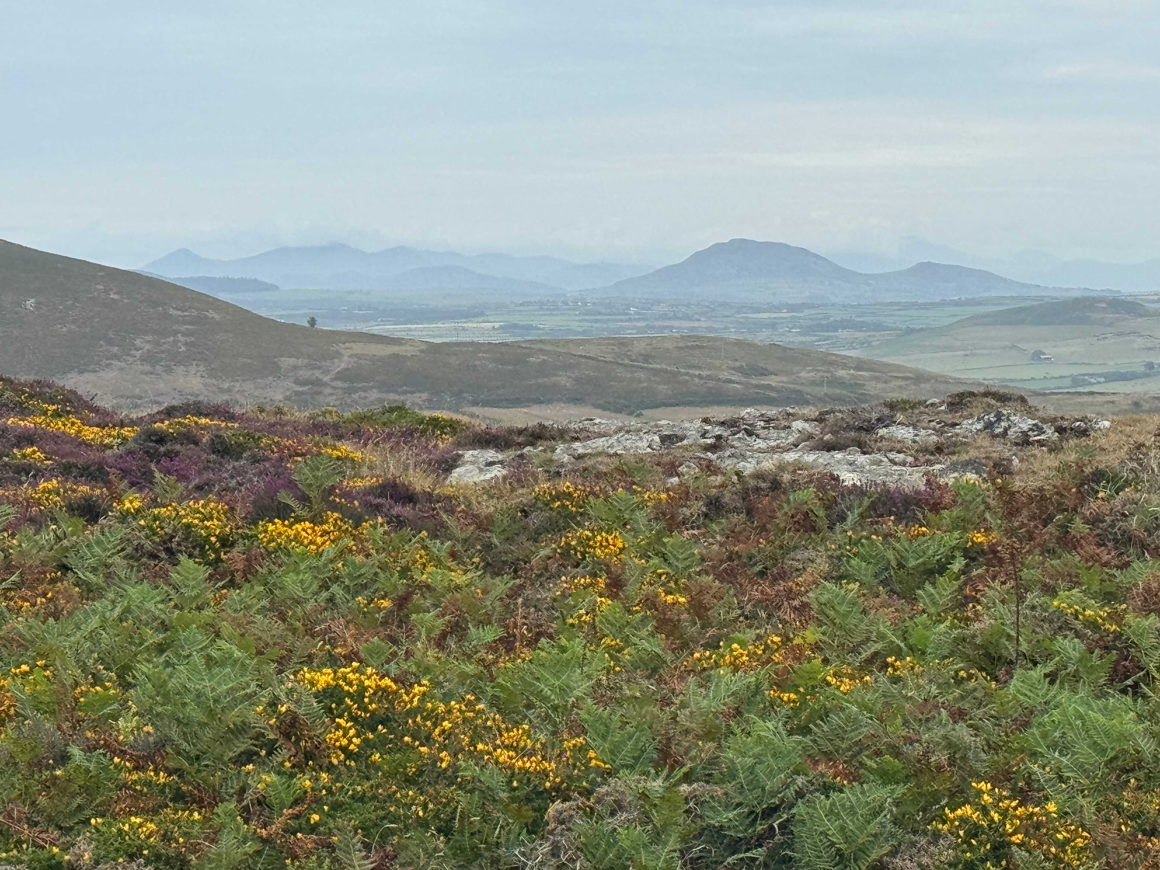 Short walk from site, what a view!