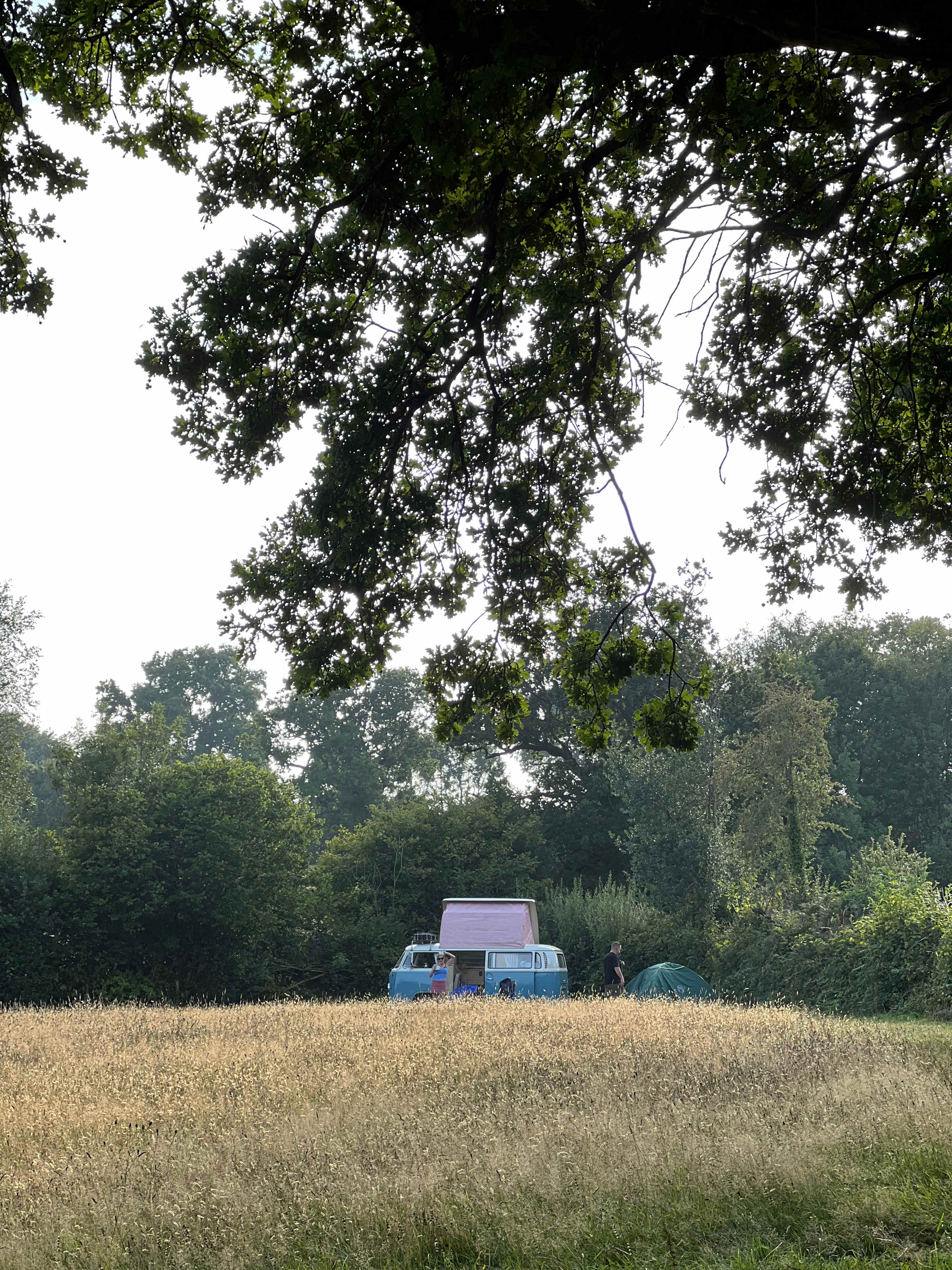 Goren Farm