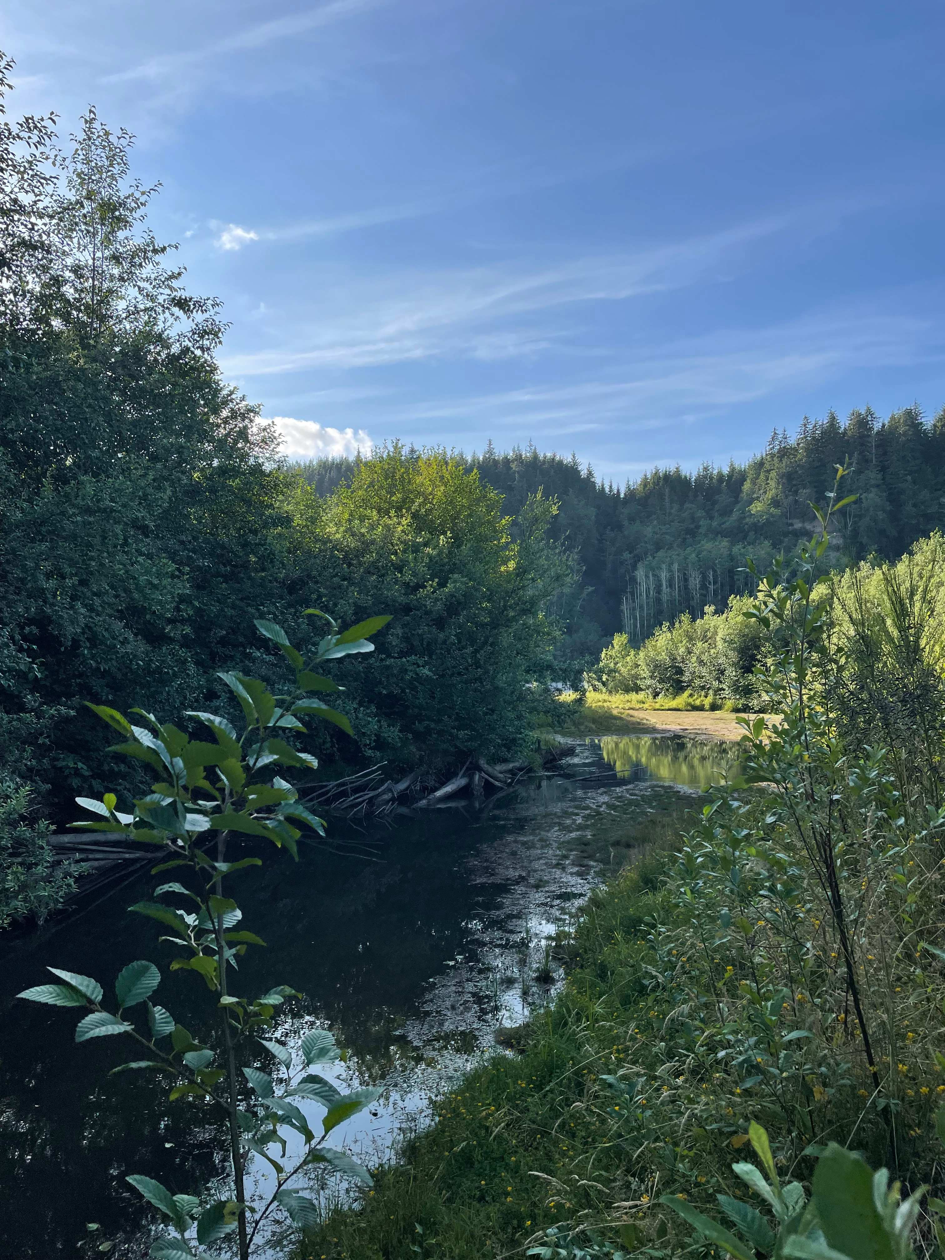 View from the mint loop trail.