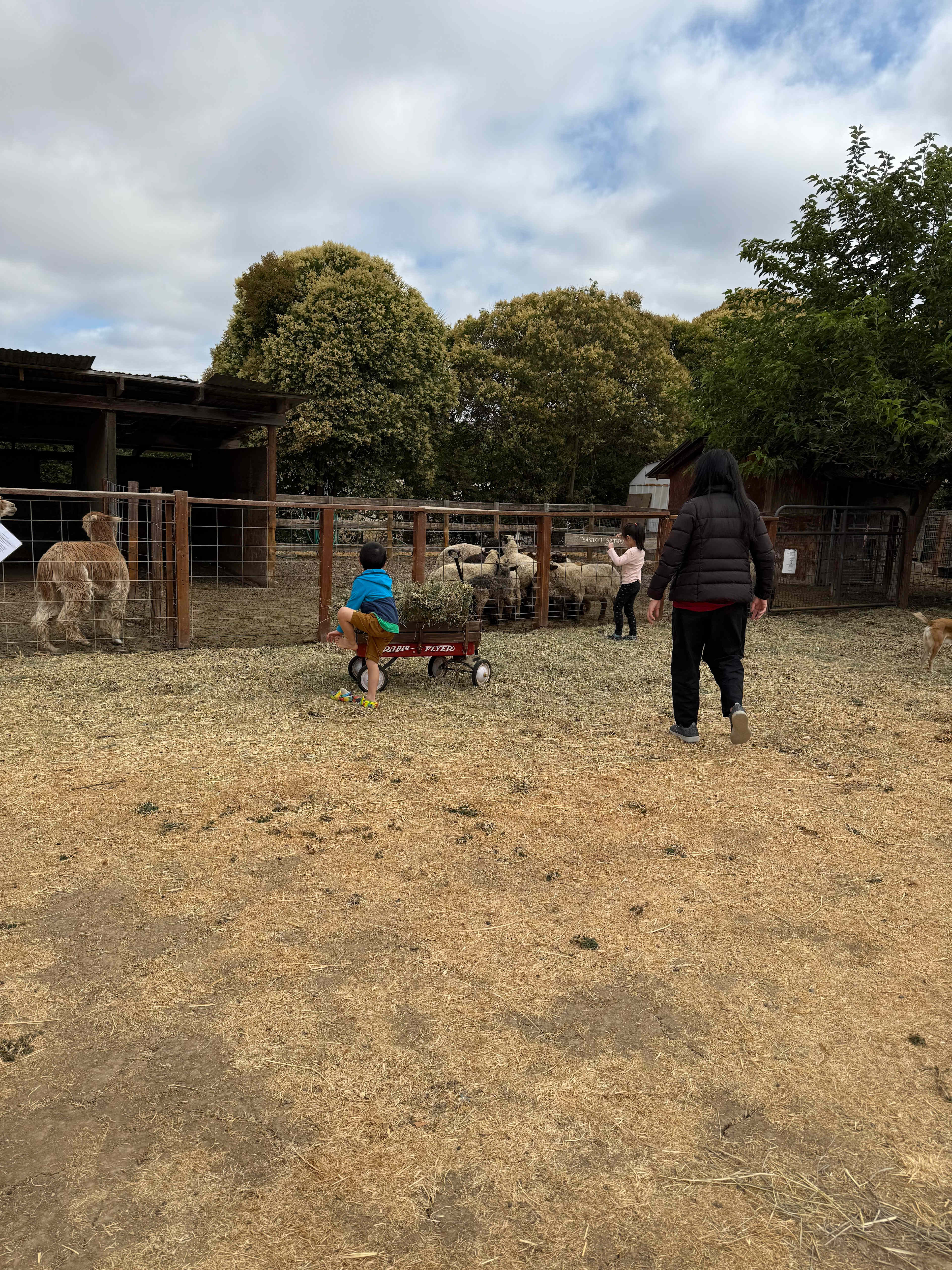 Windsor Family Farm
