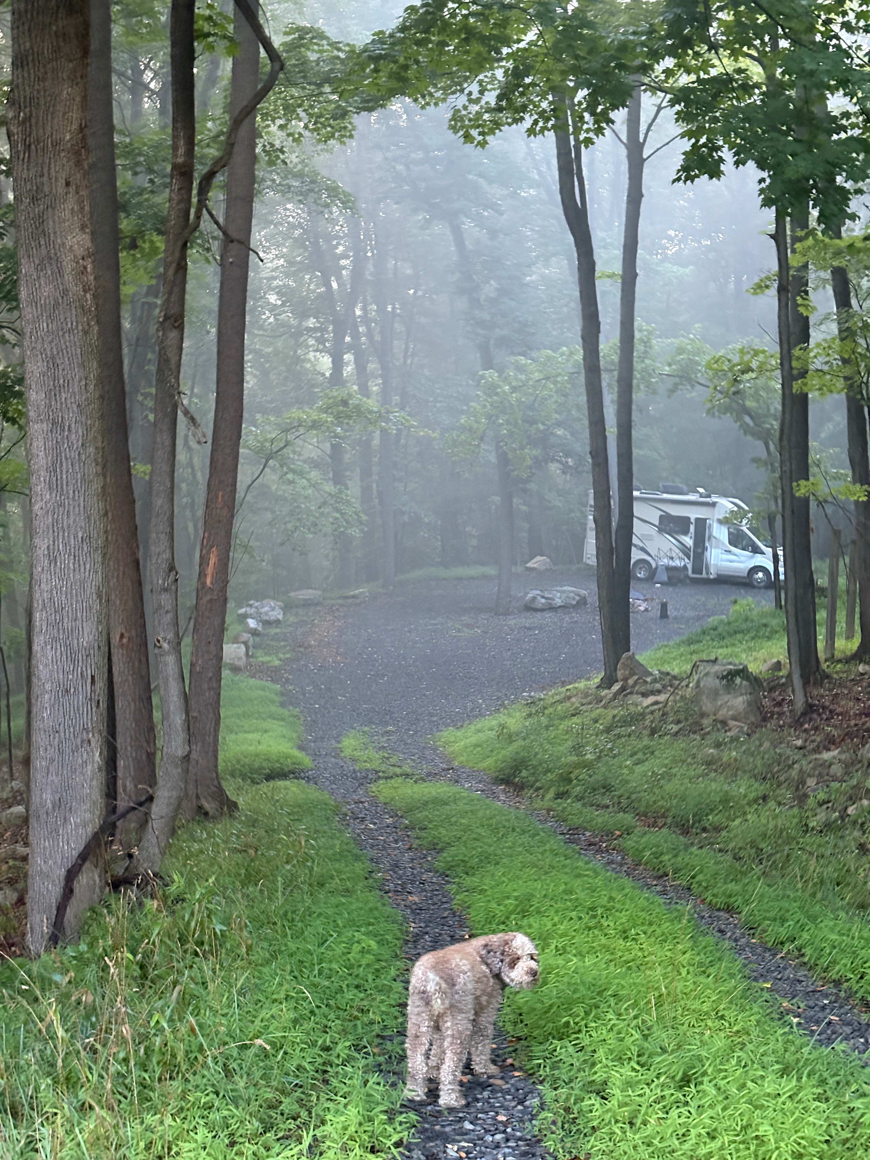 Barnum Cliffs Campground