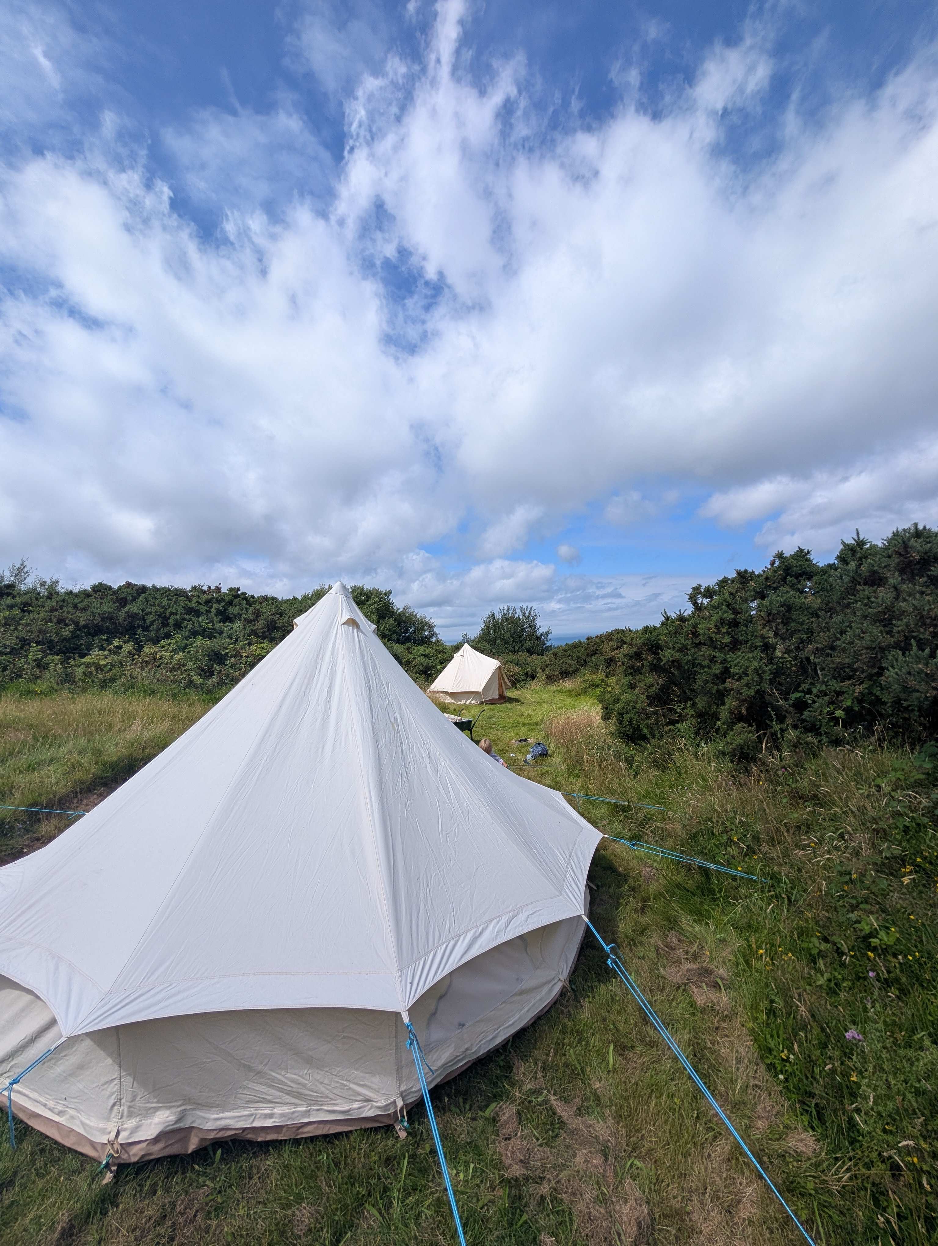 Henbant Permaculture Farm + Camp