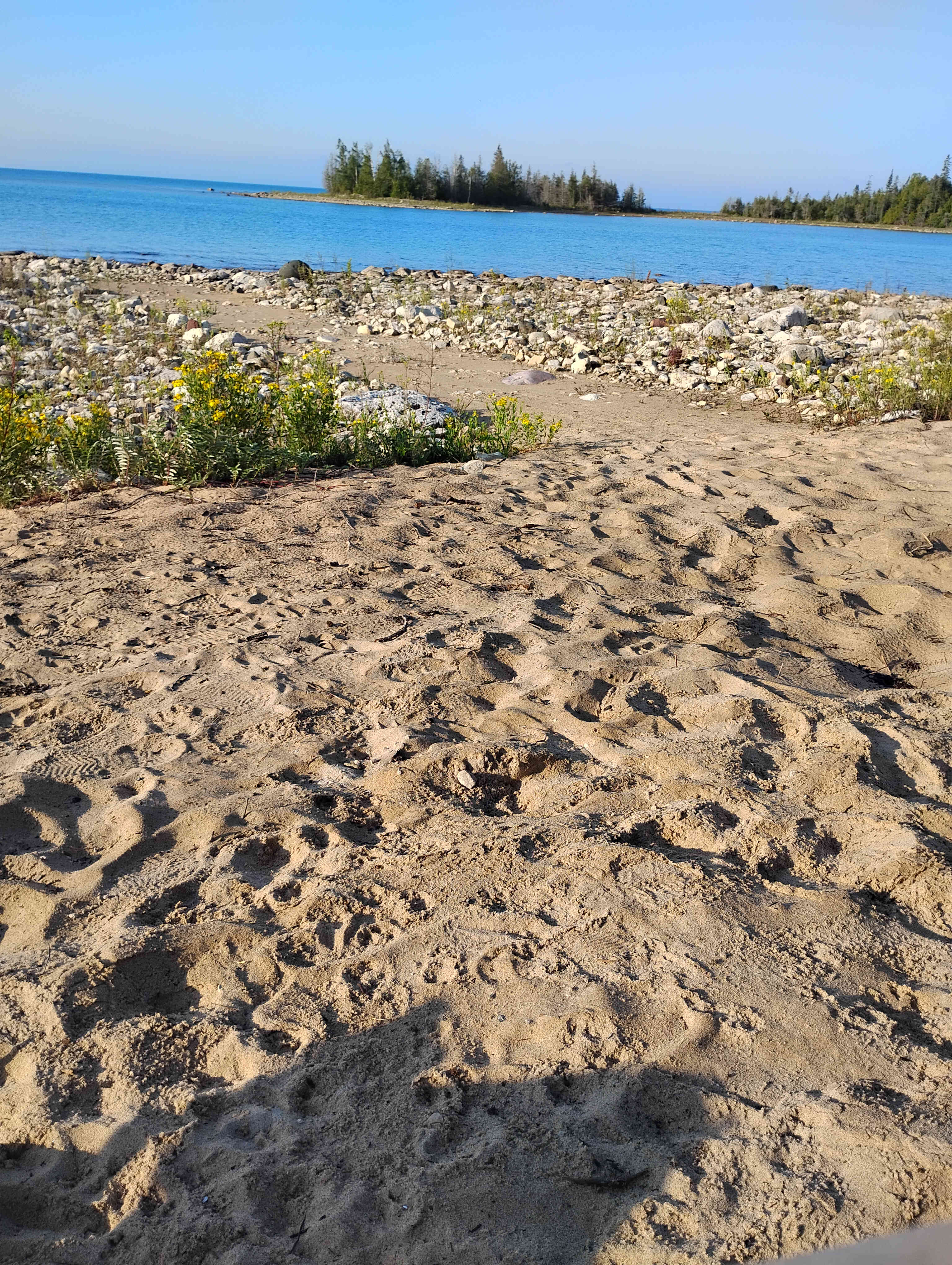 Lake Huron frontage Campsite