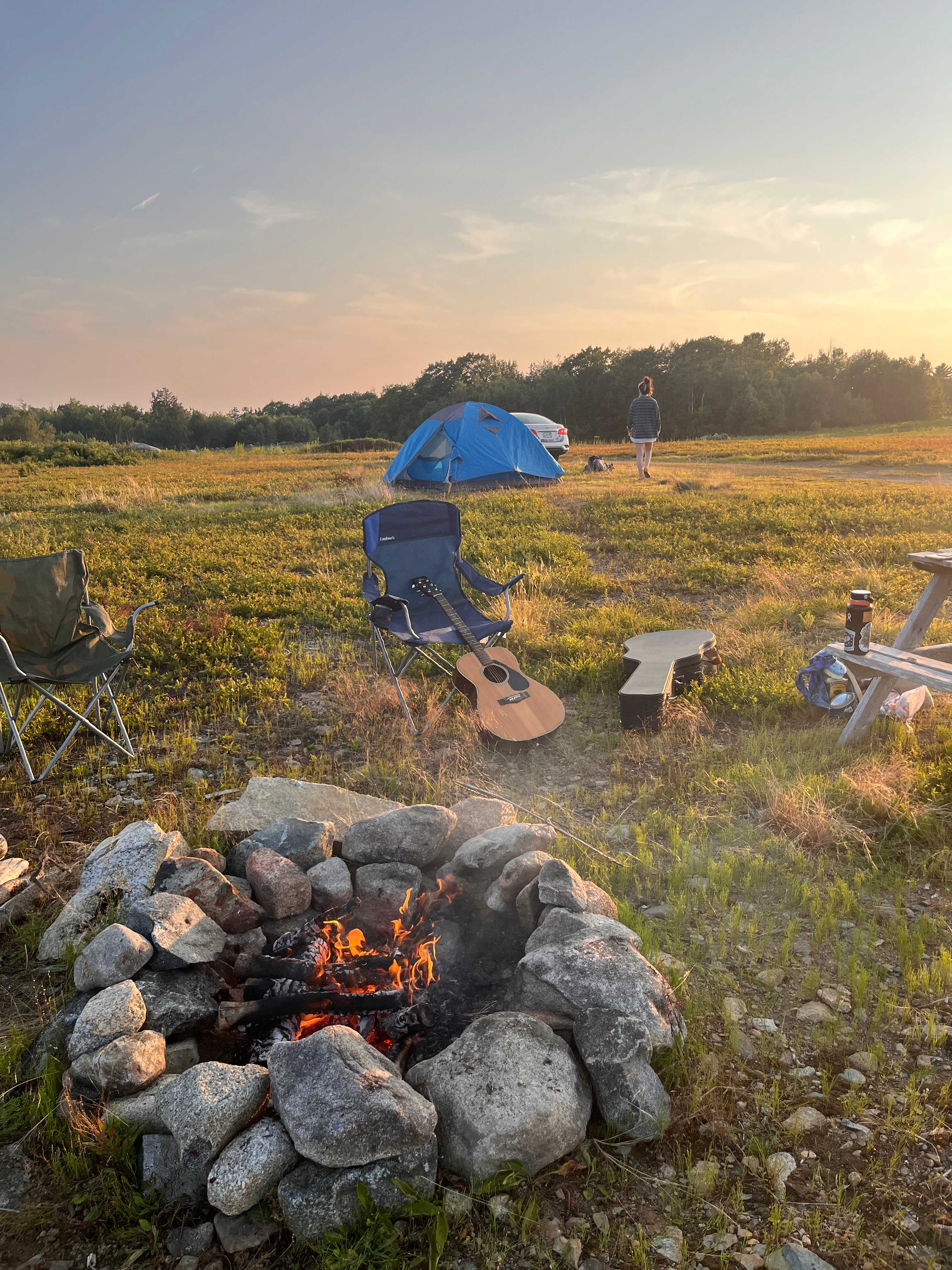 Maine Wild Blueberry Bliss