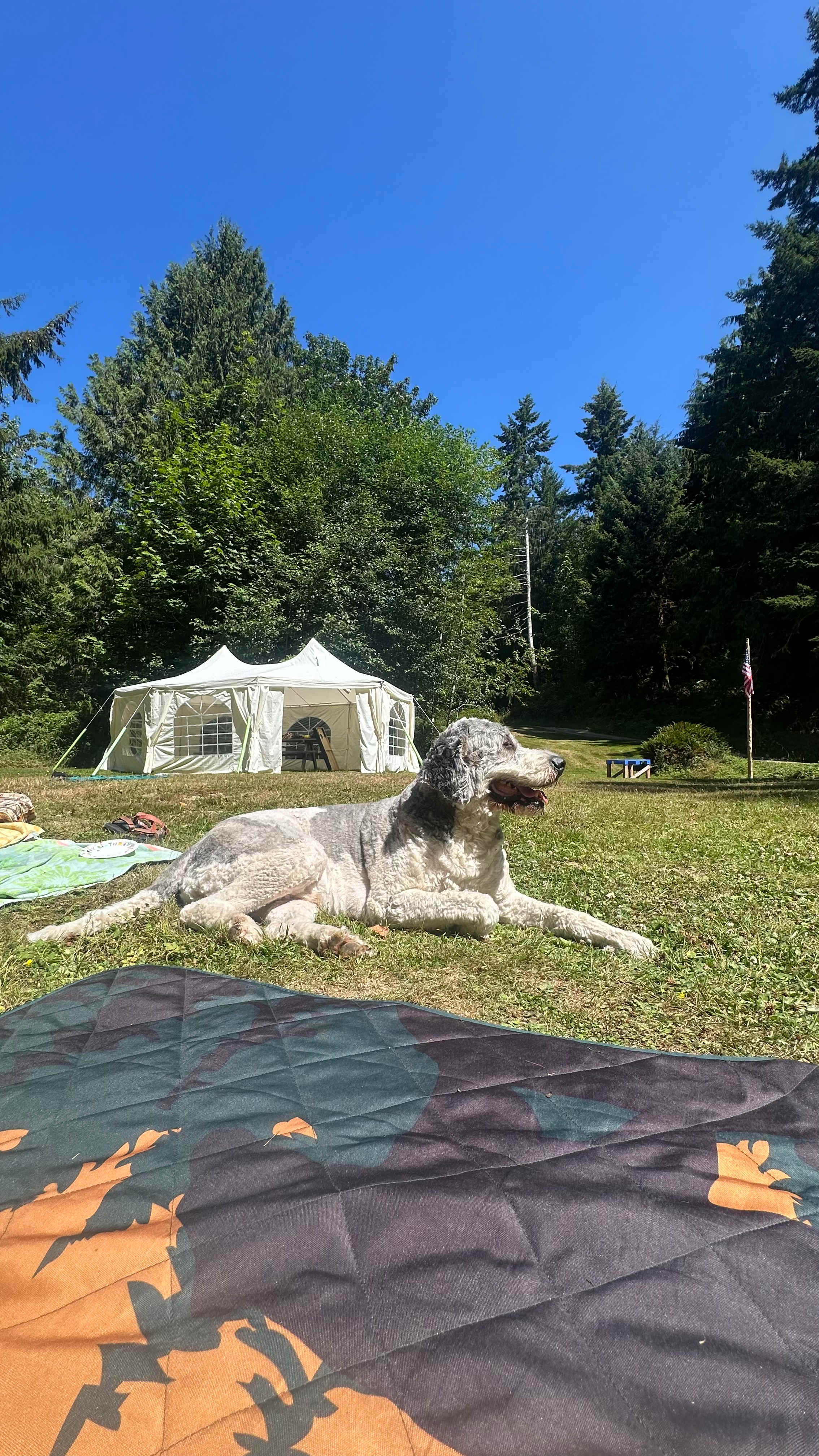 Lyre River Retreat