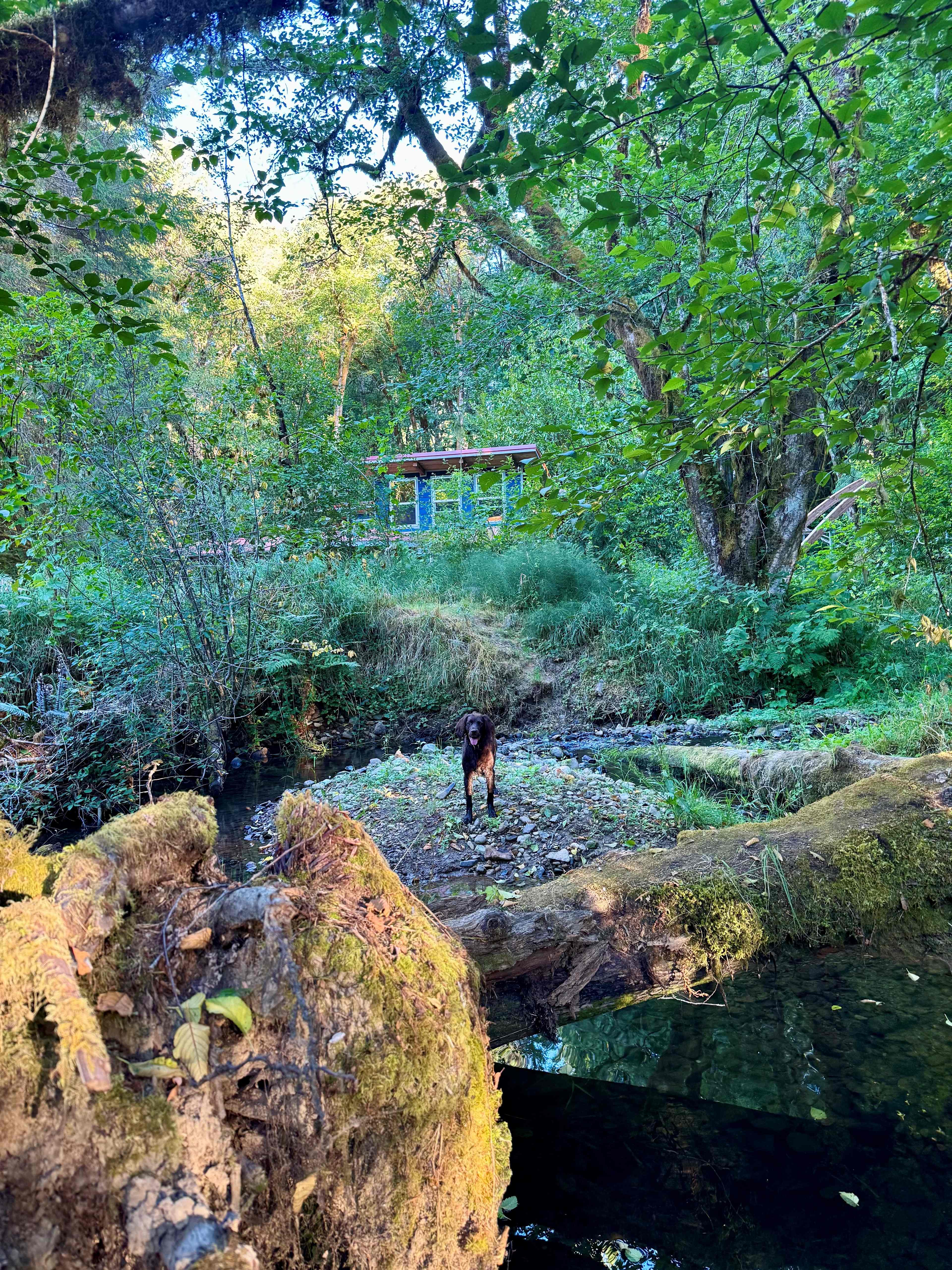 Alsea Valley Farm