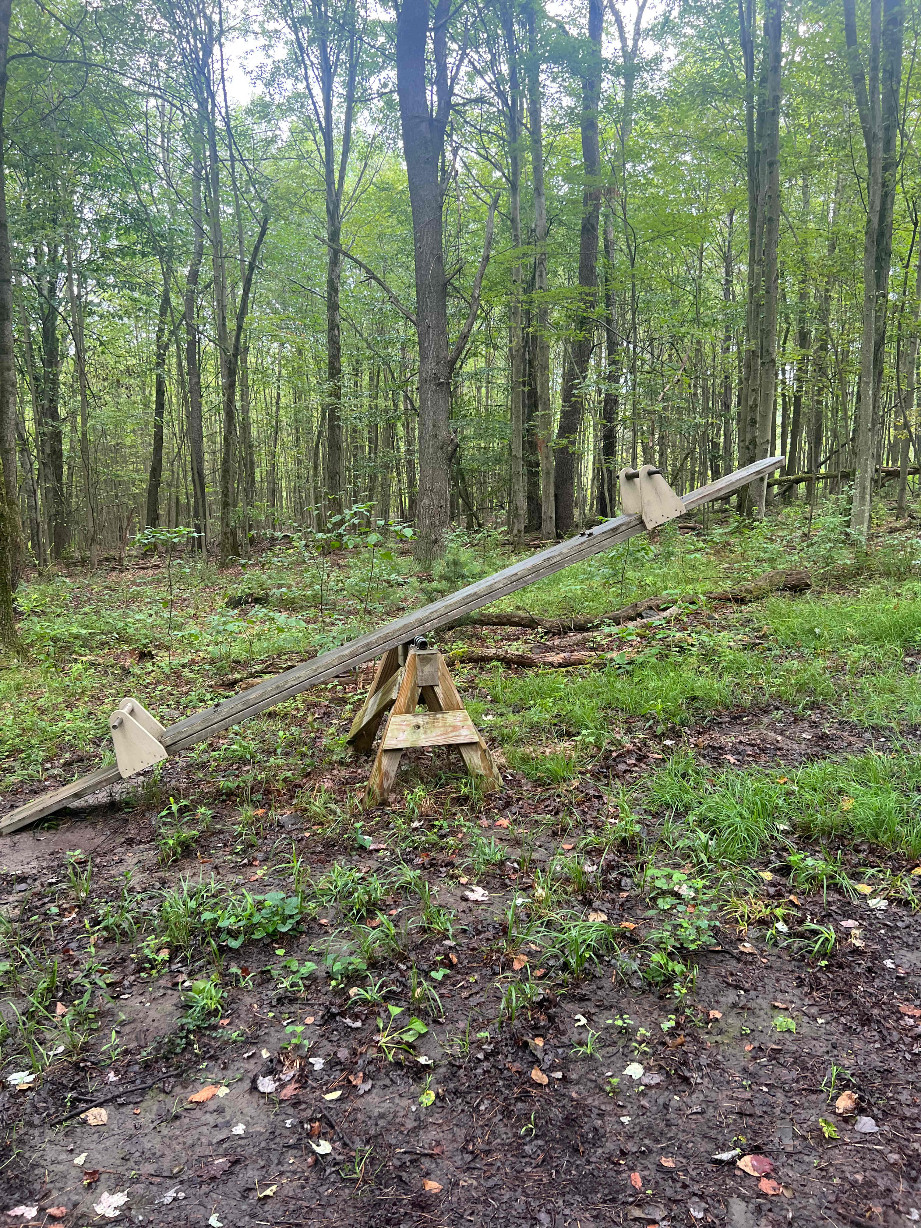 Sanctuary in the woods tent camp