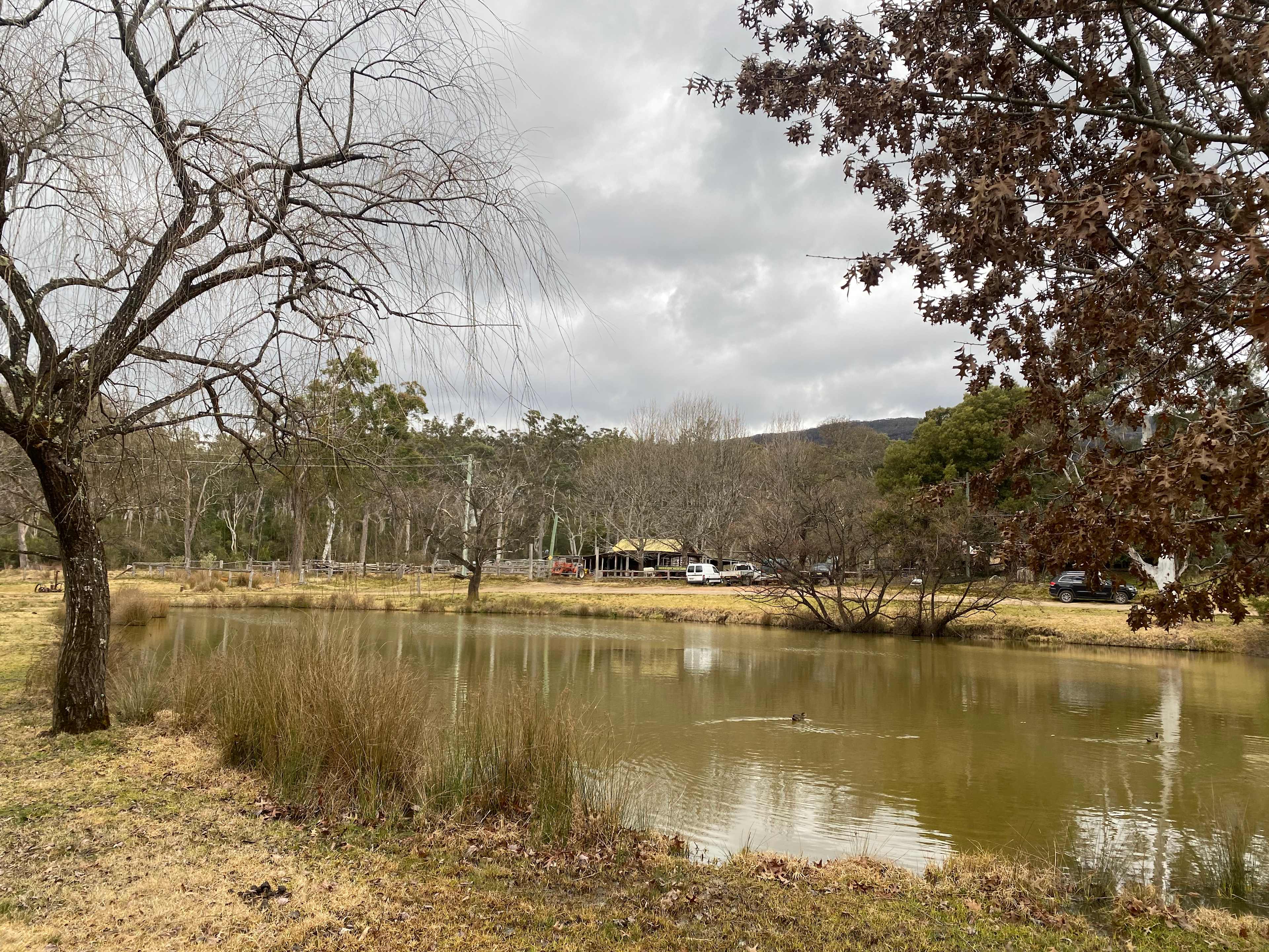 Megalong Valley Farm