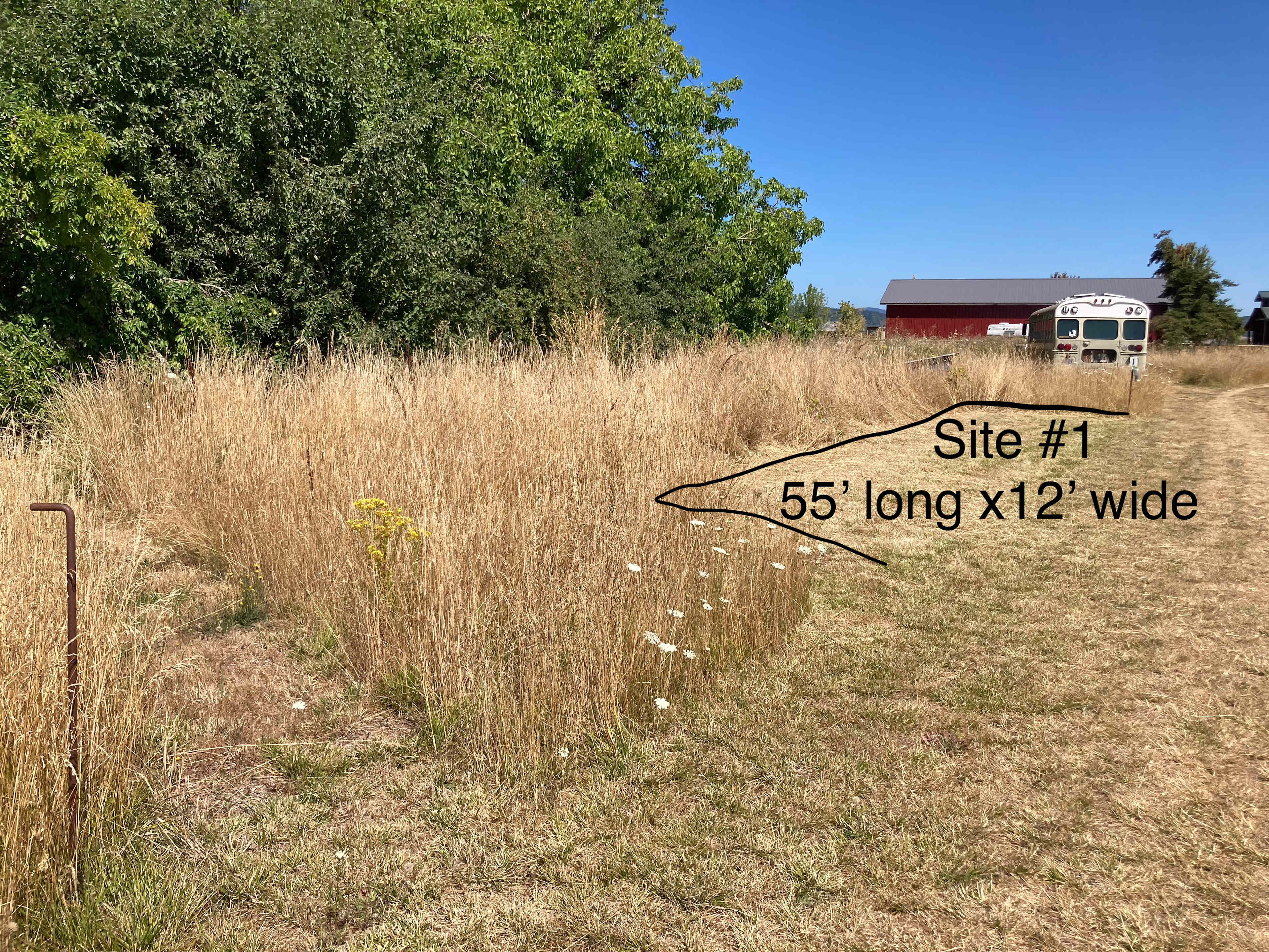 Paradise Island Farmstead