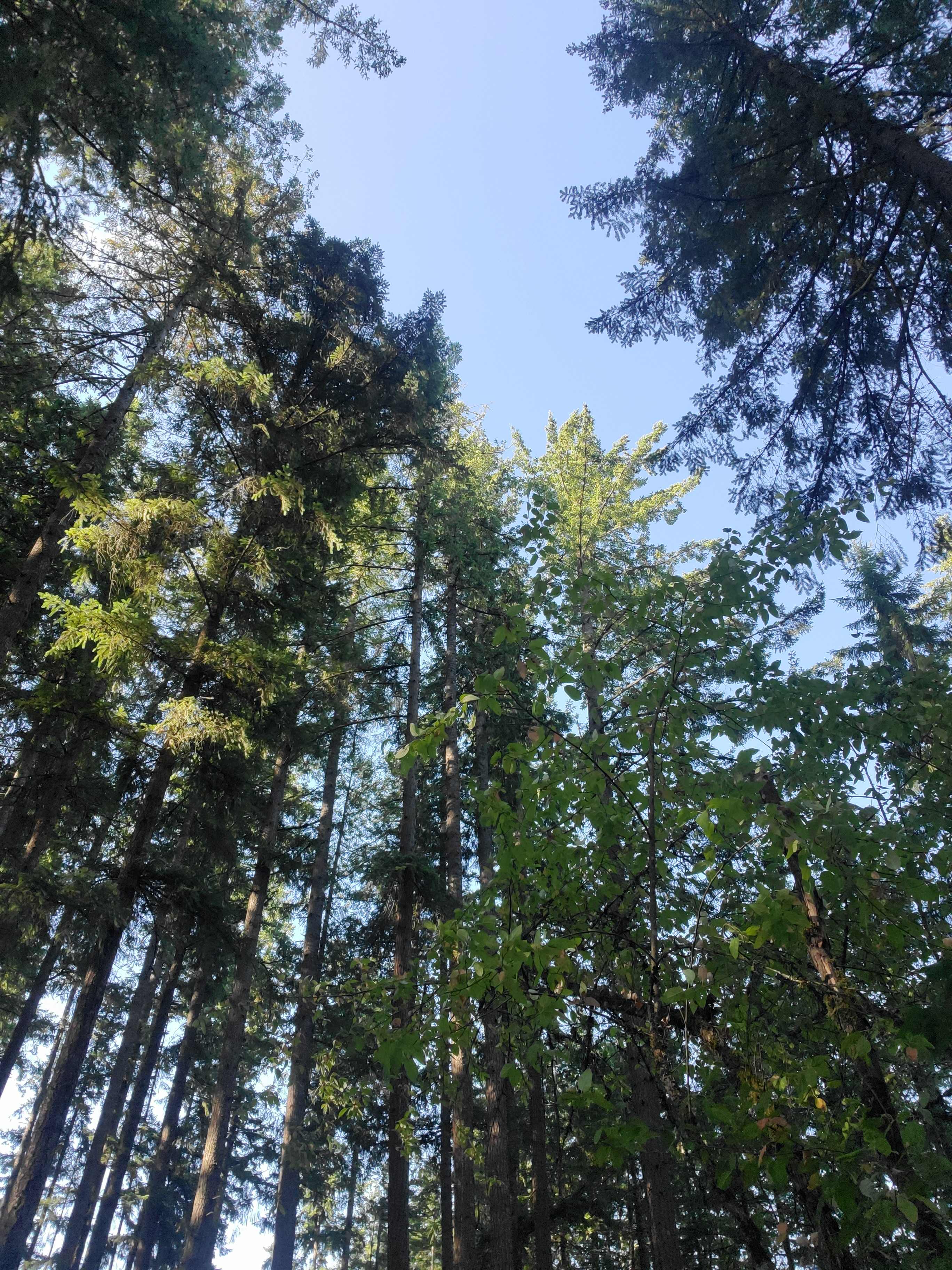 Dean’s Campground