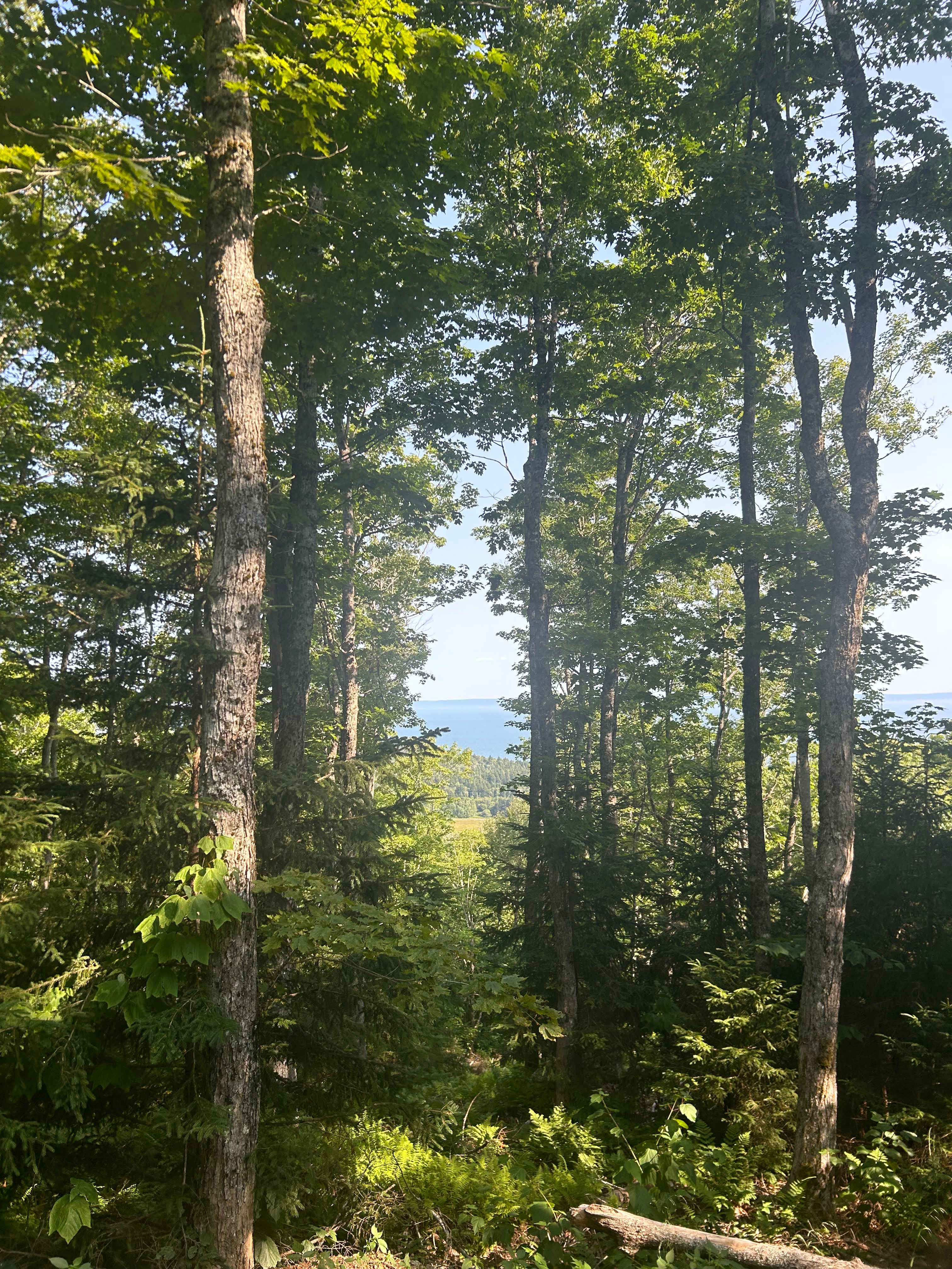 Fraserville Off-Grid Camping