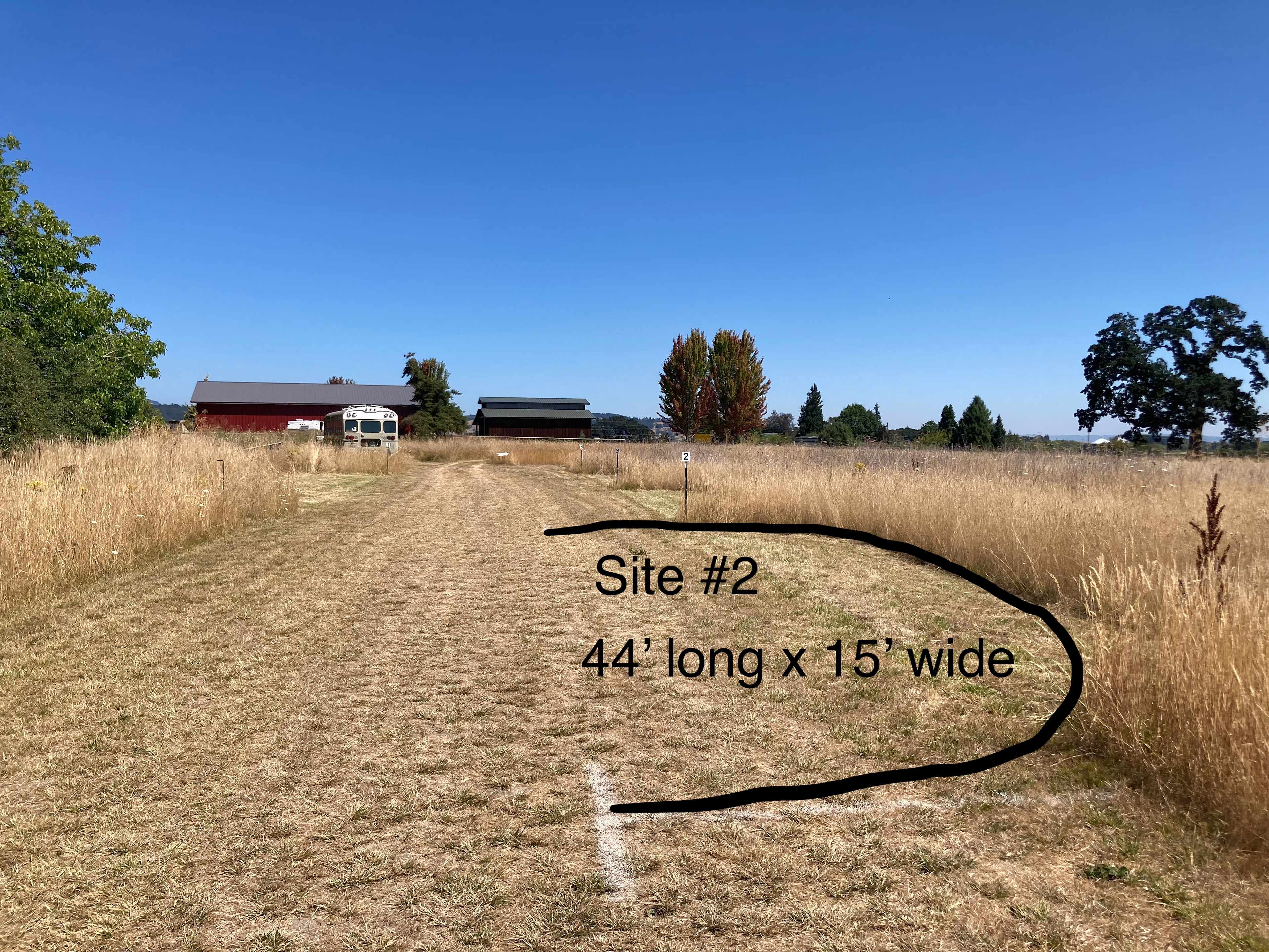 Picture of the site