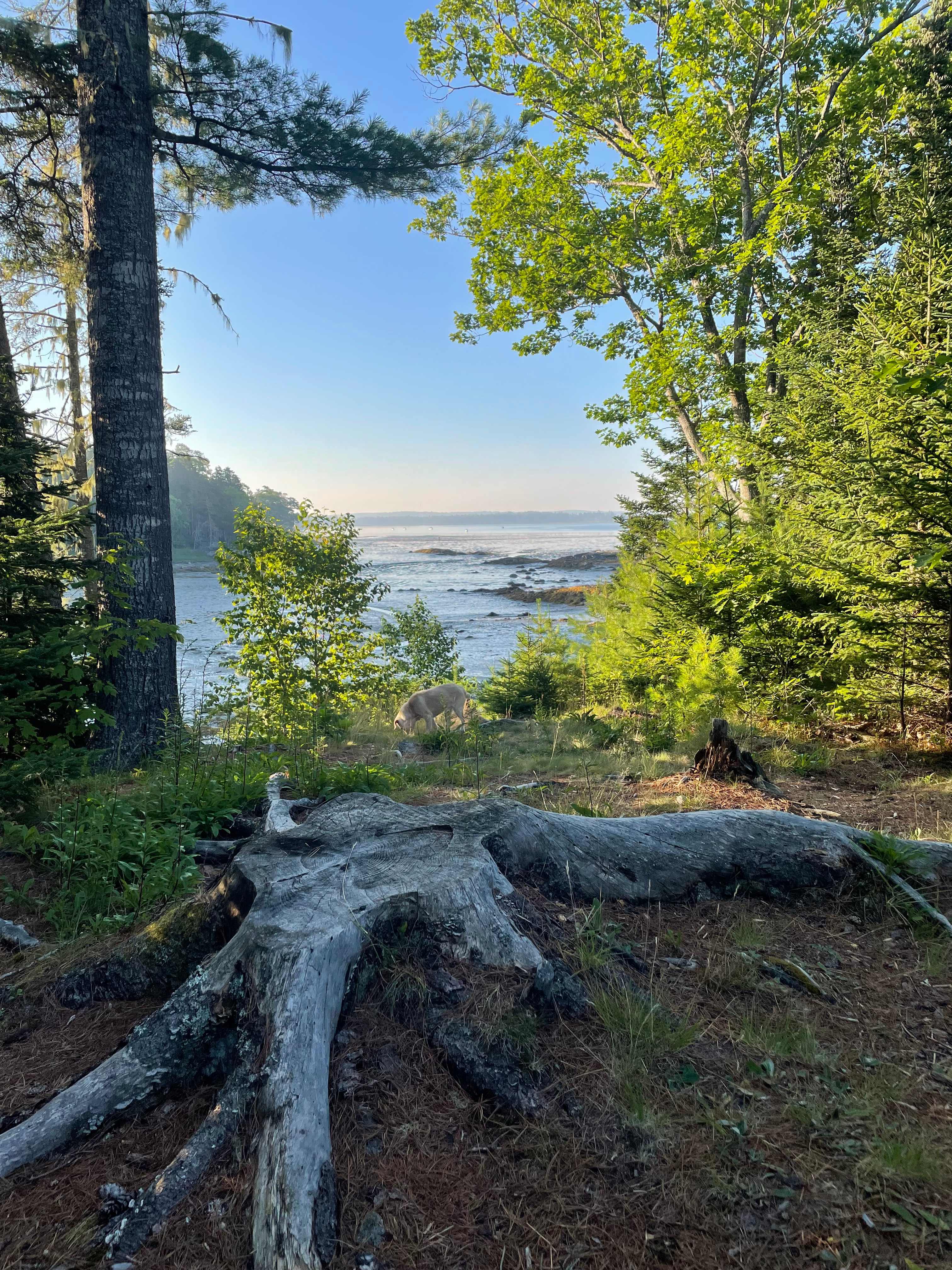 Eagle View Coastal Campground