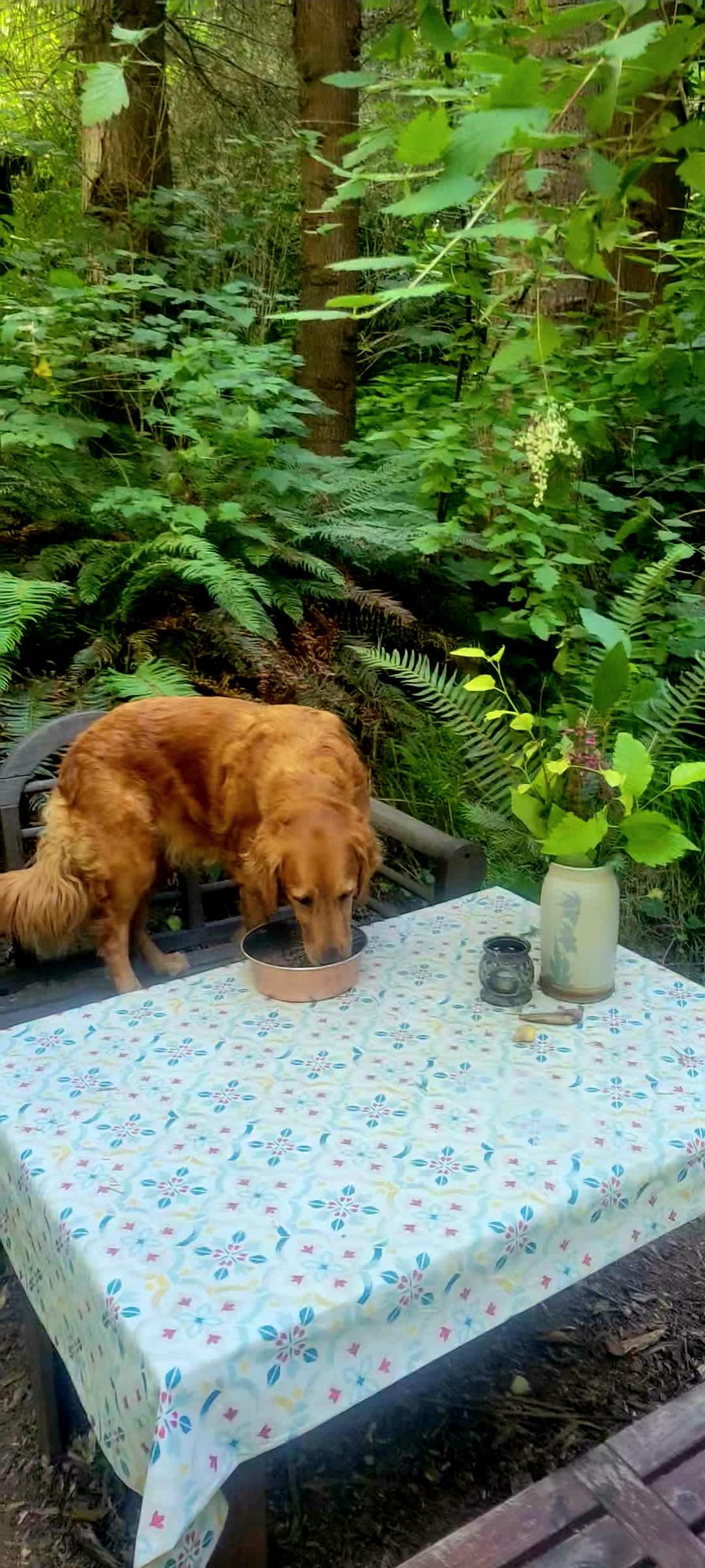 Seaforest Eco Retreat