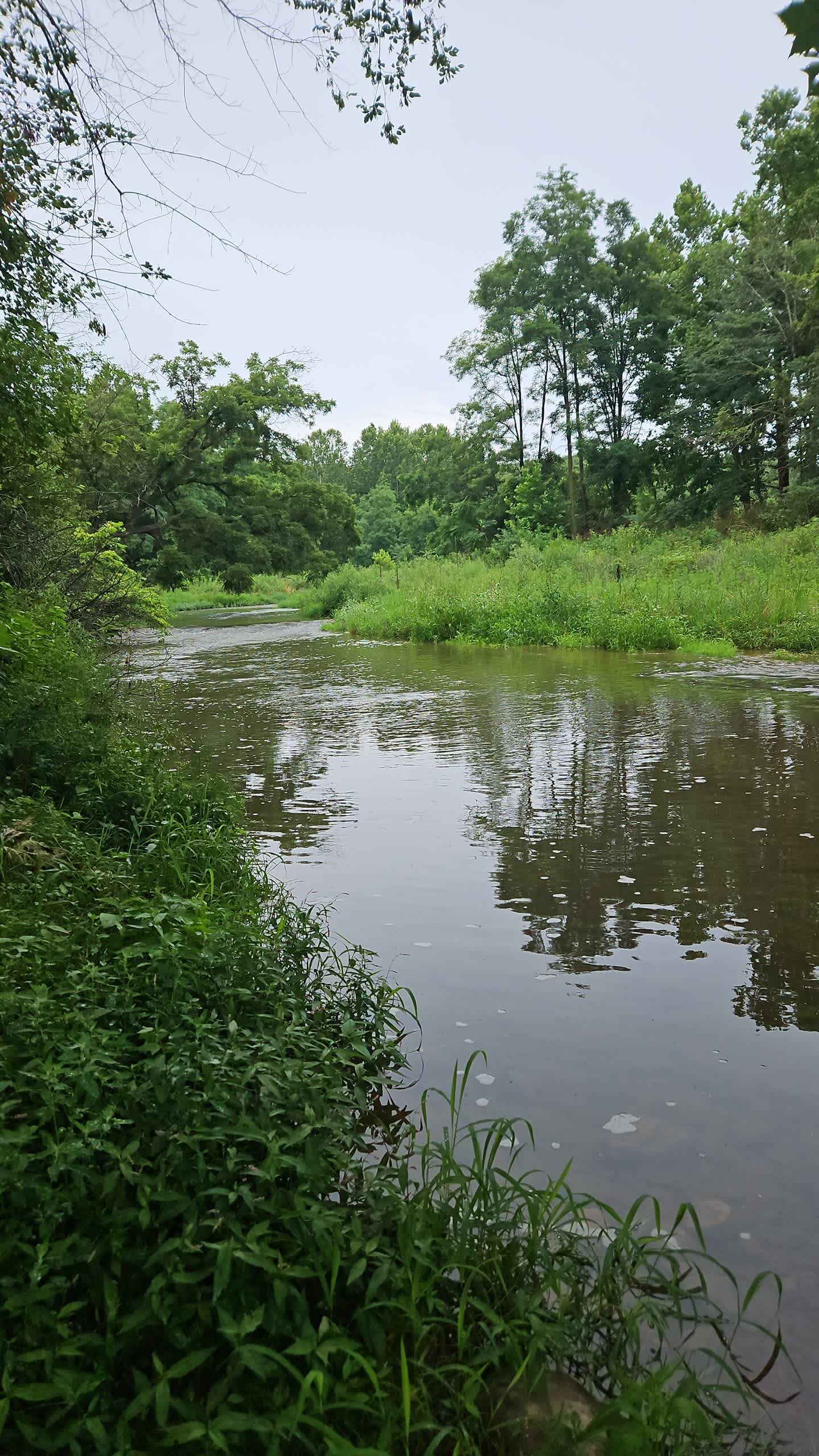Foreaker Farm/Creek Side Valley