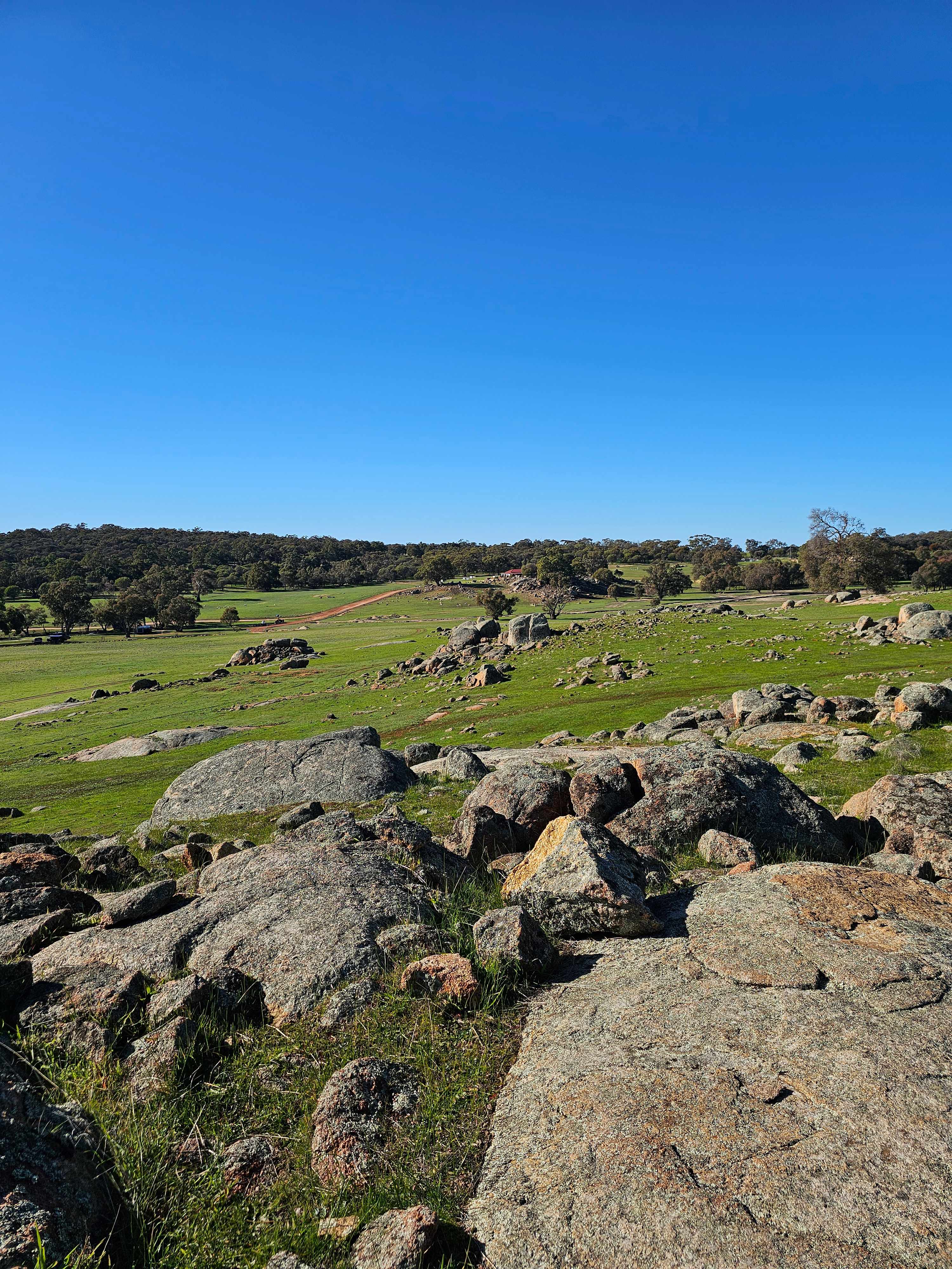 Peaceful Valley Farm