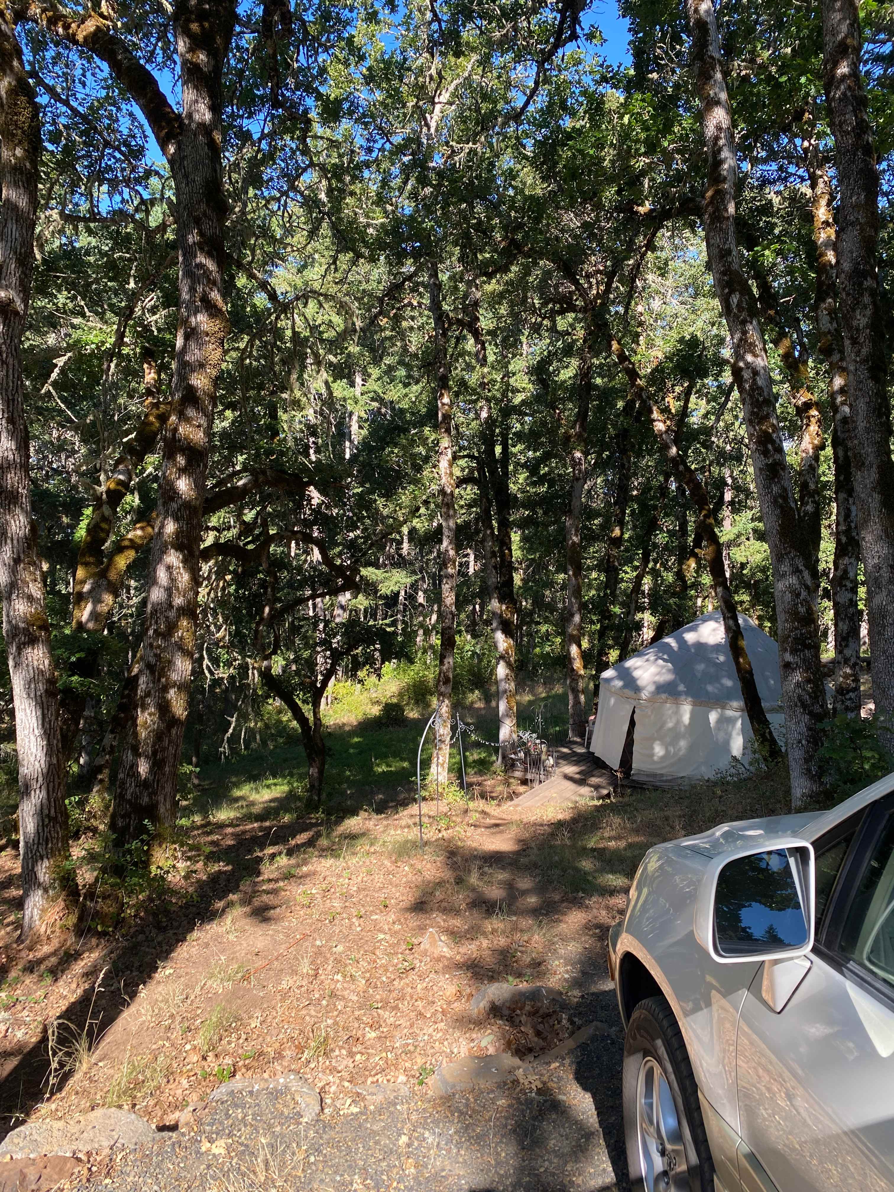 Yurt camp near White Salmon