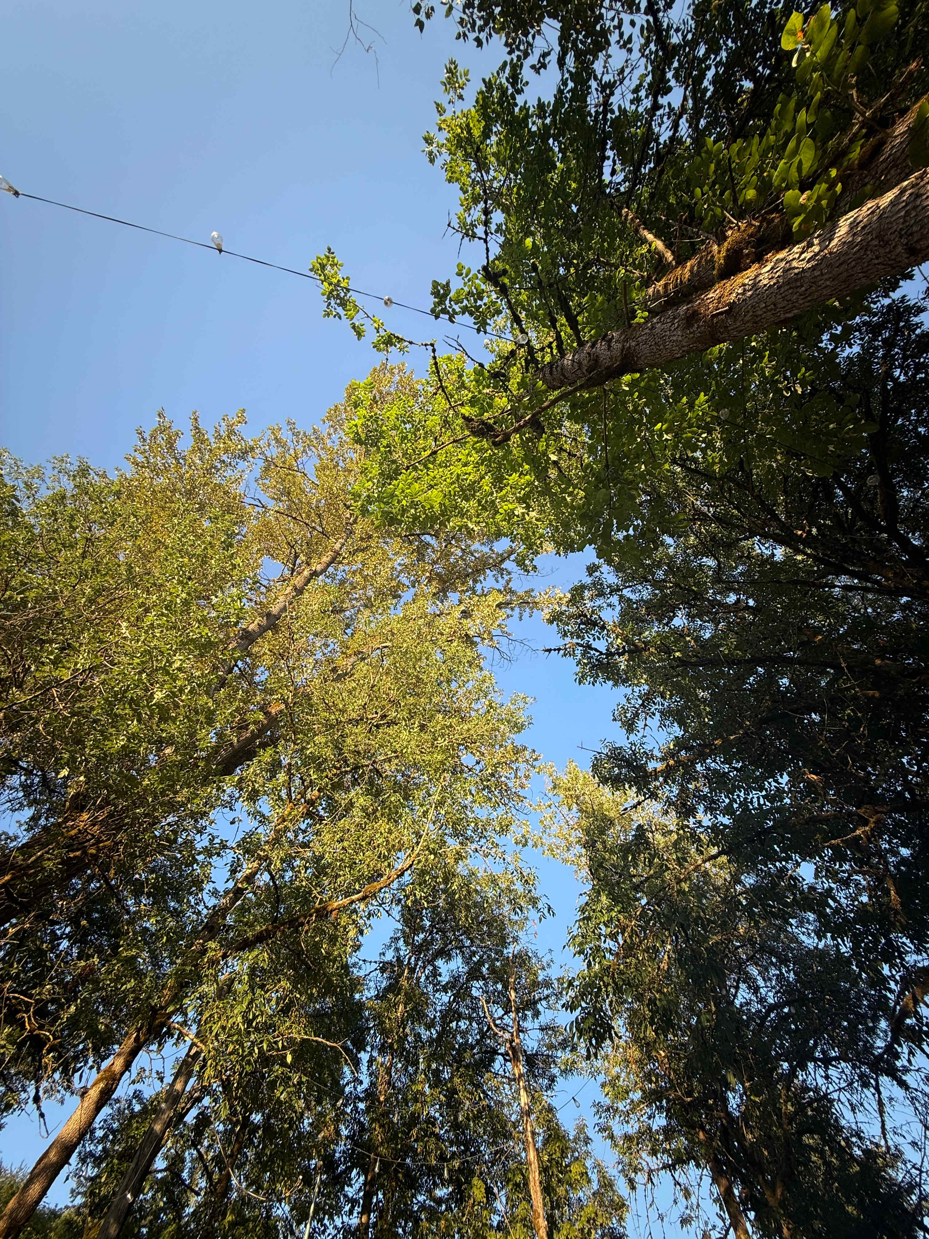 View above the campsite 