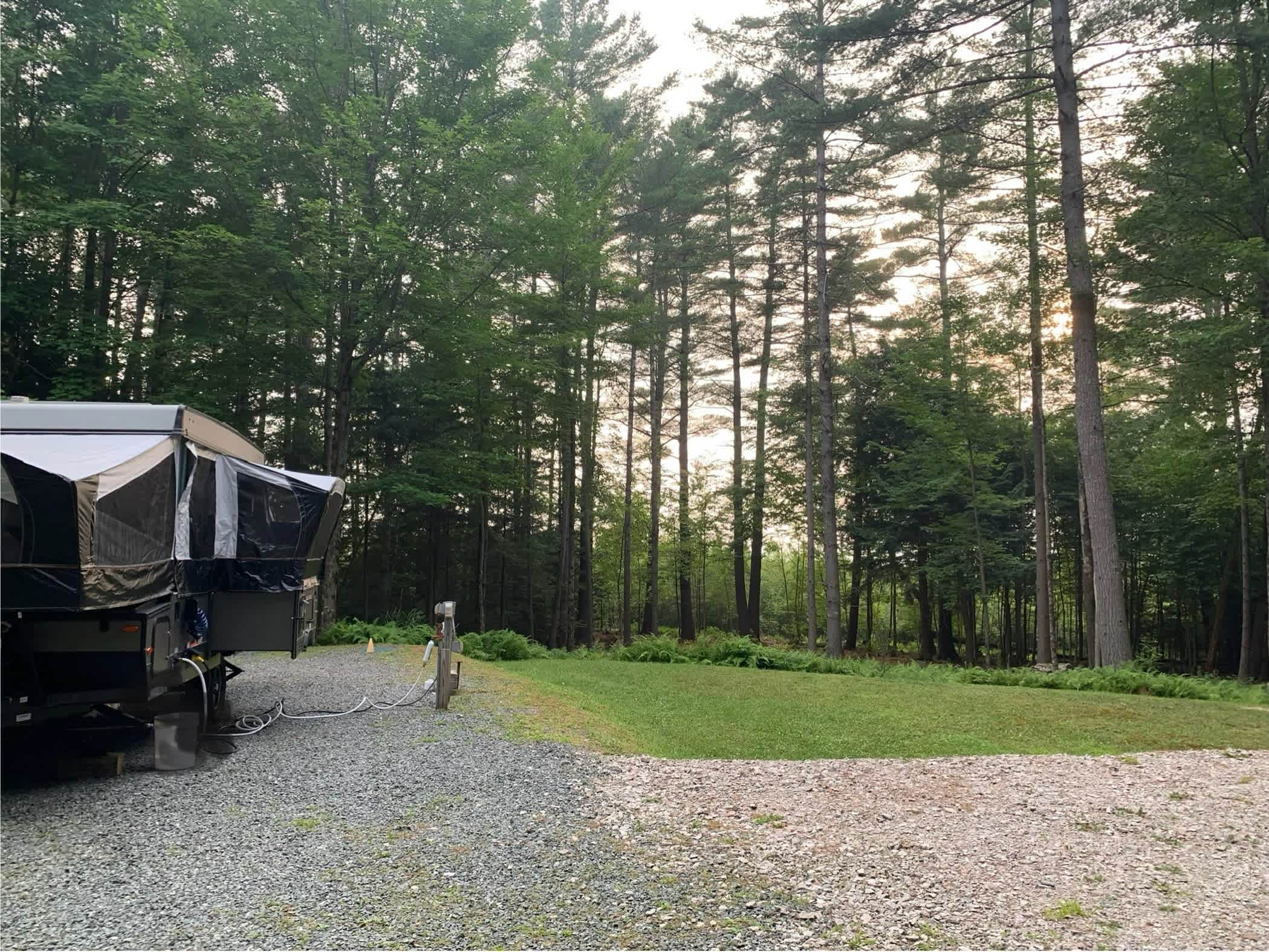 Hidden Pines