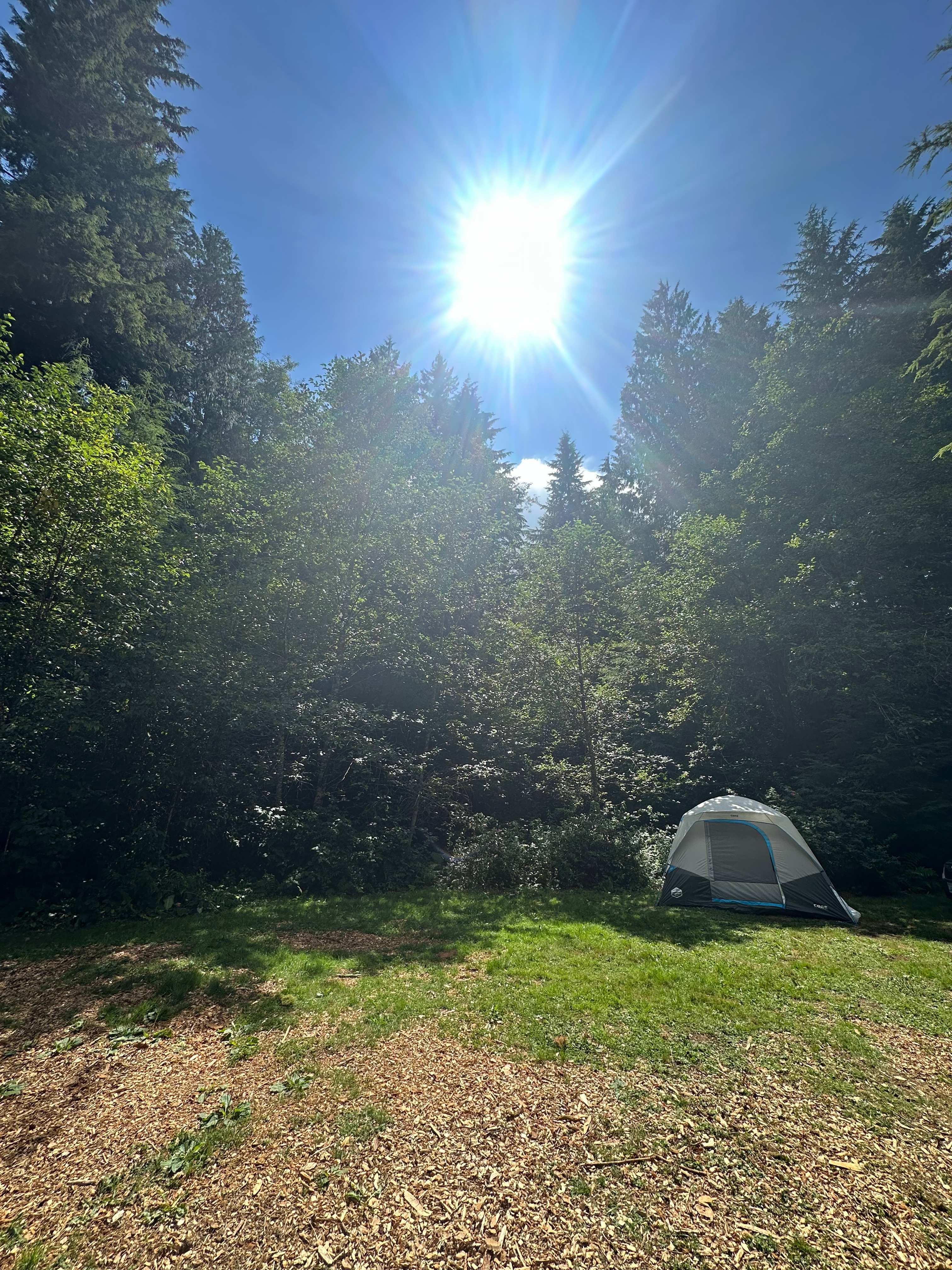 Camp Cedar Creek ⛺️🌲🚐