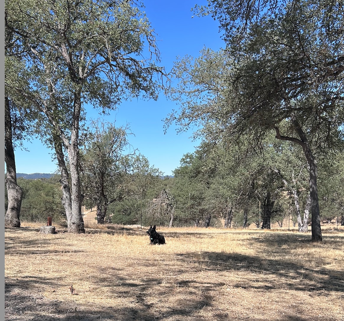 Tucker loved the campsite. 