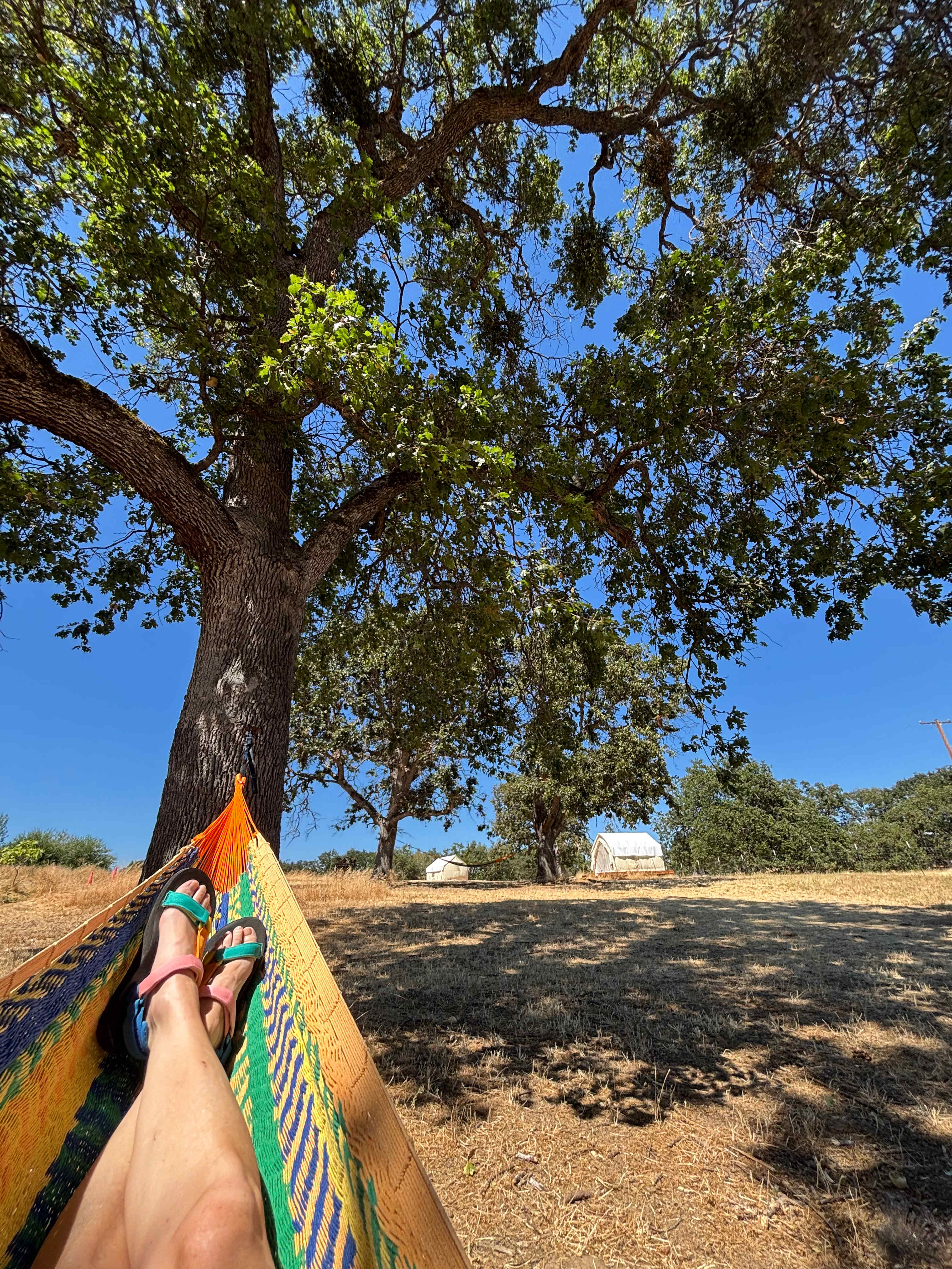 Lane Creek Reserve