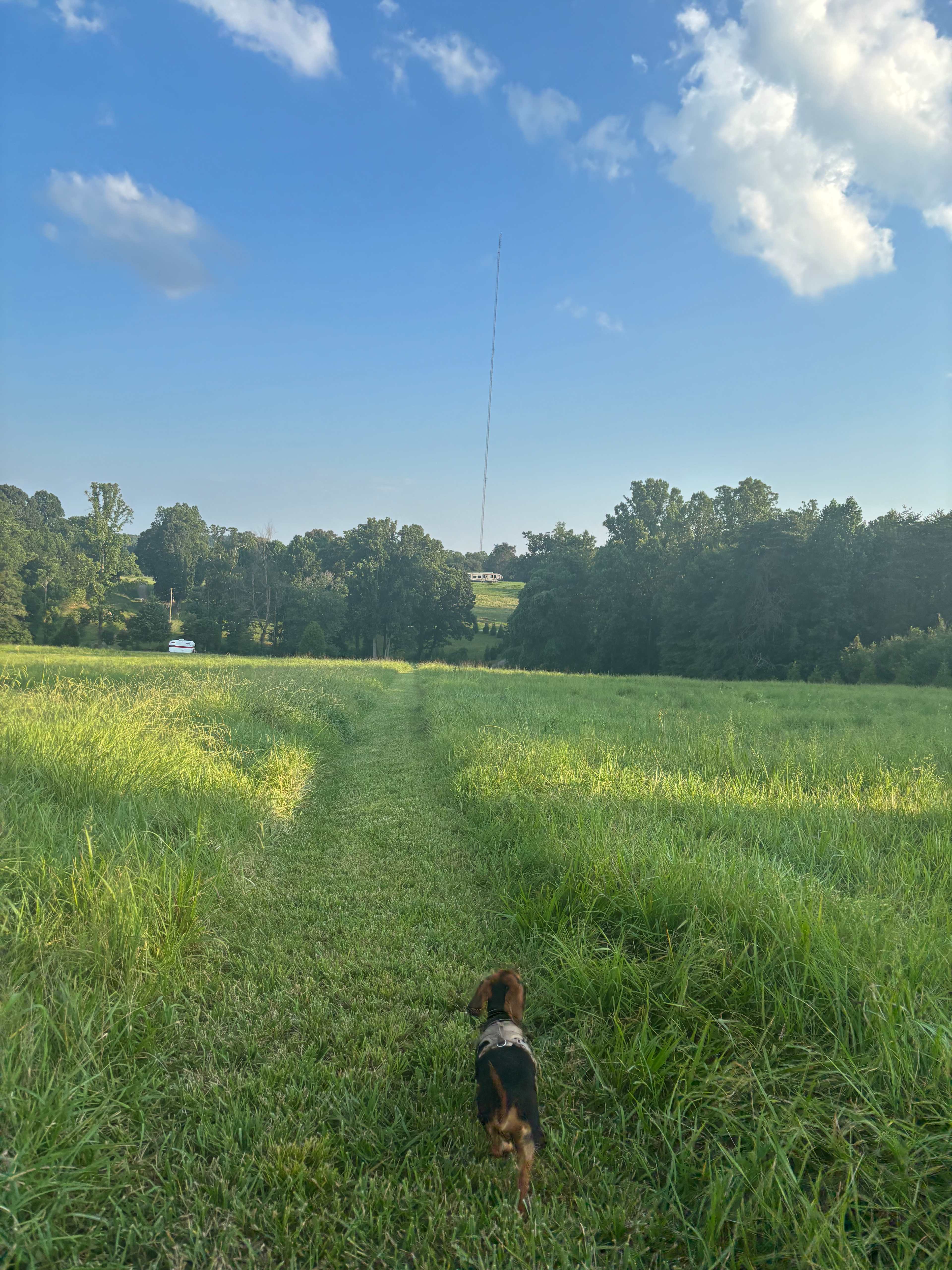 Mystic Meadow Farm Glamping.