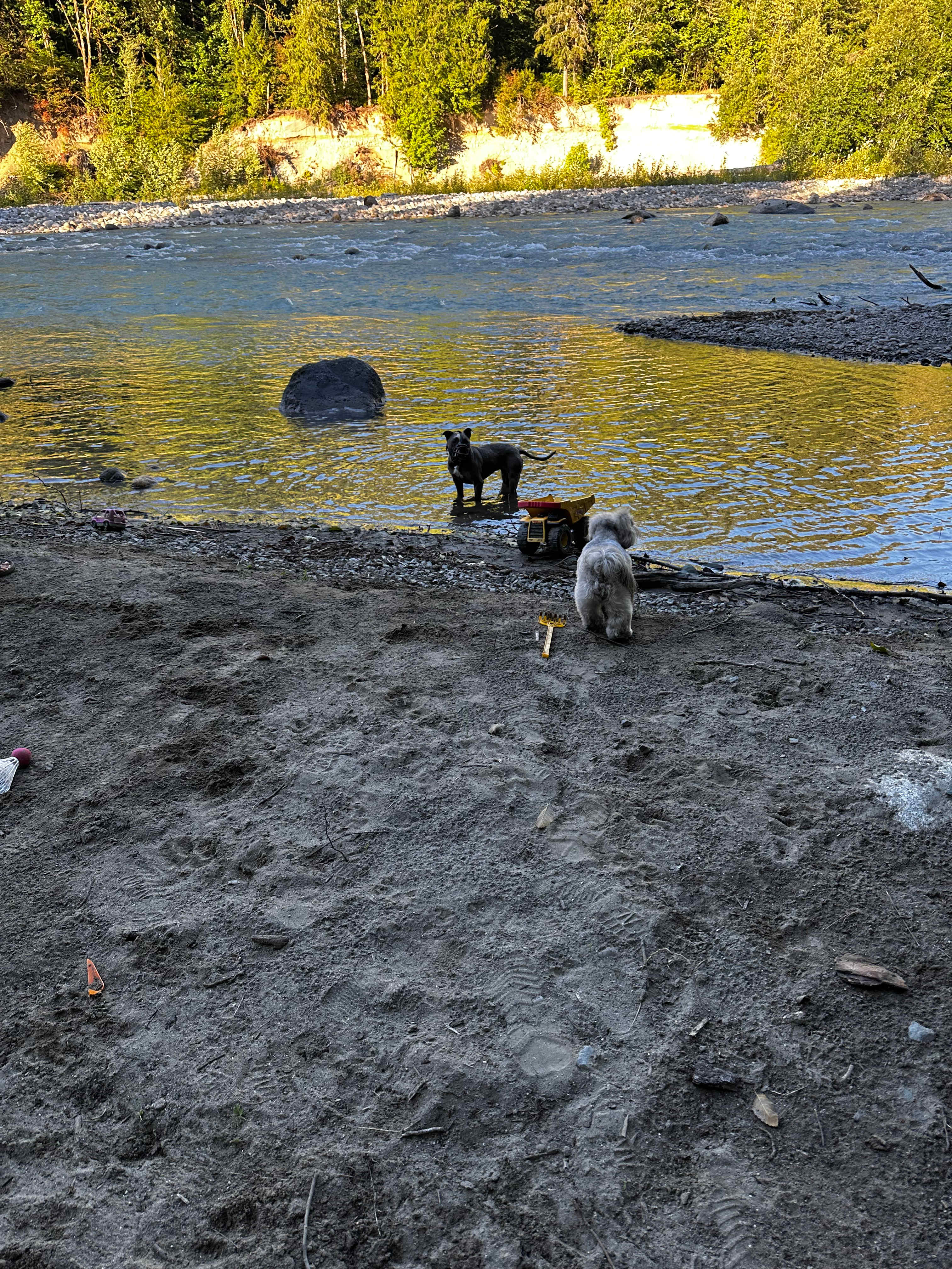 Family/pet friendly beach 