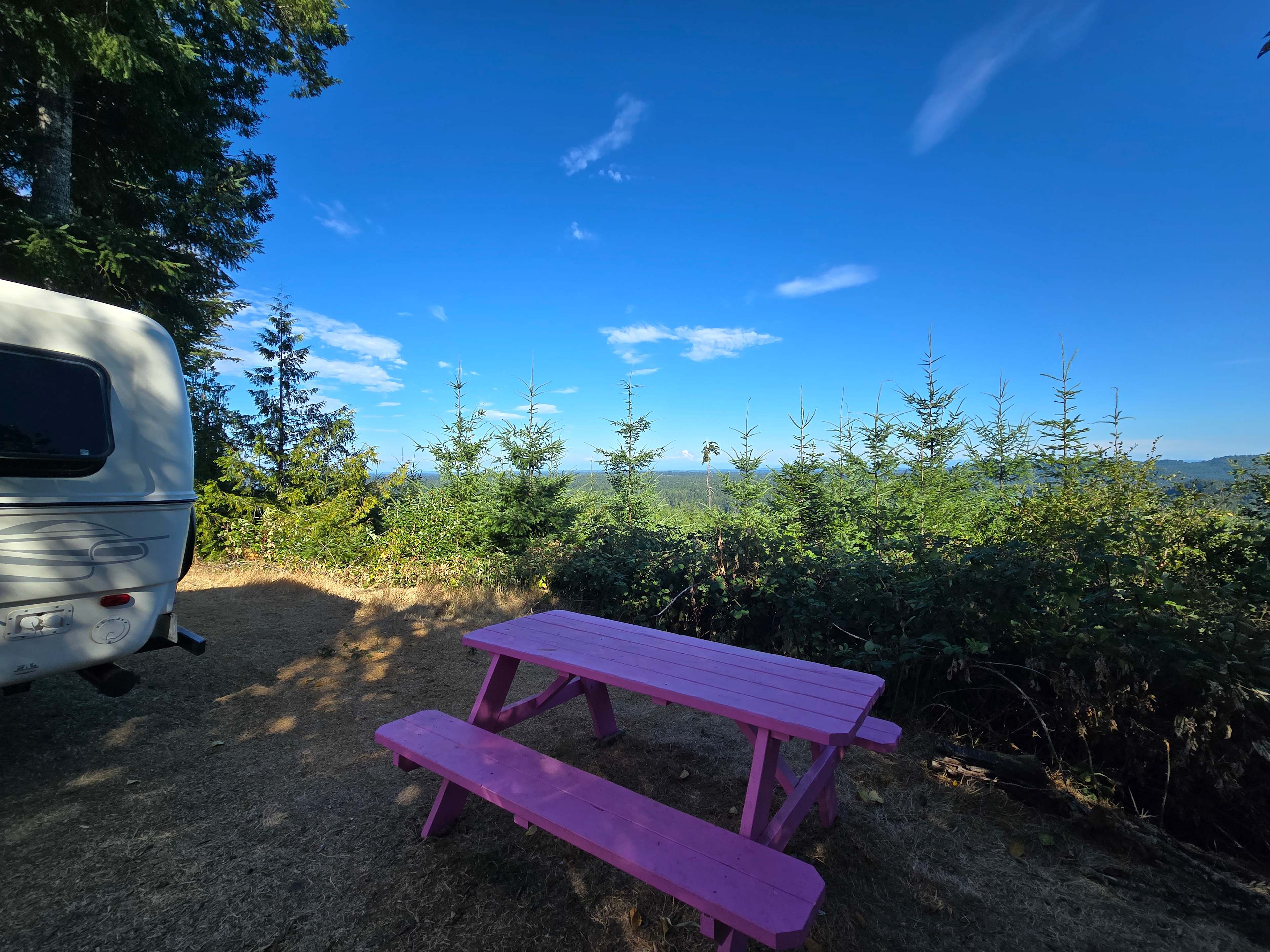 Hairy Eagle Lookout 🦅