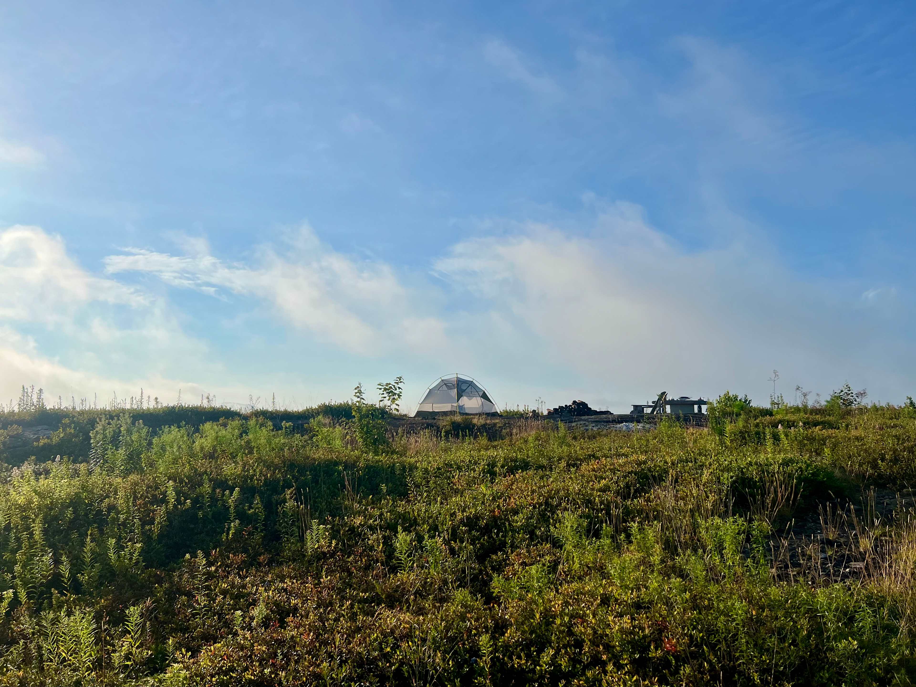 Magnificent View Blueberry Hilltop