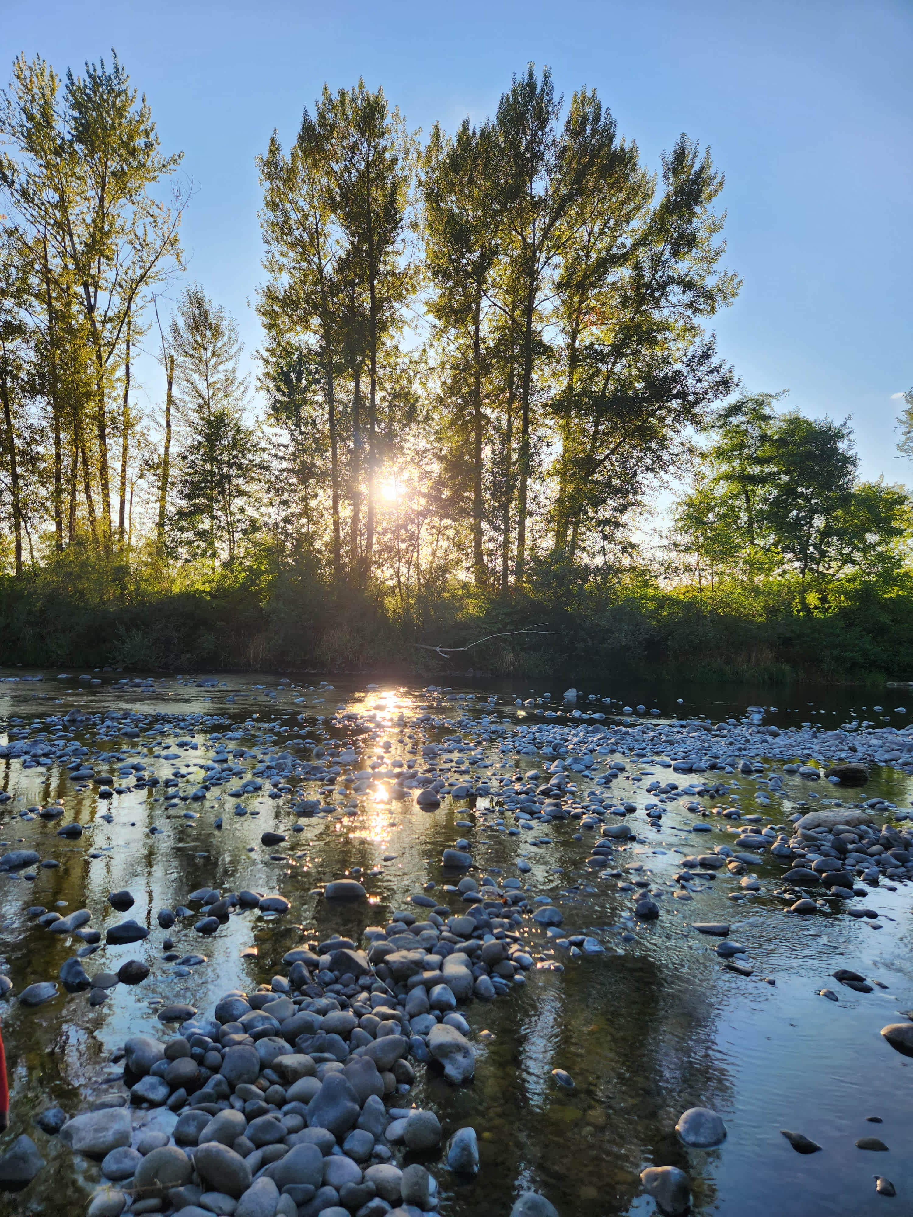 Molalla Ripple