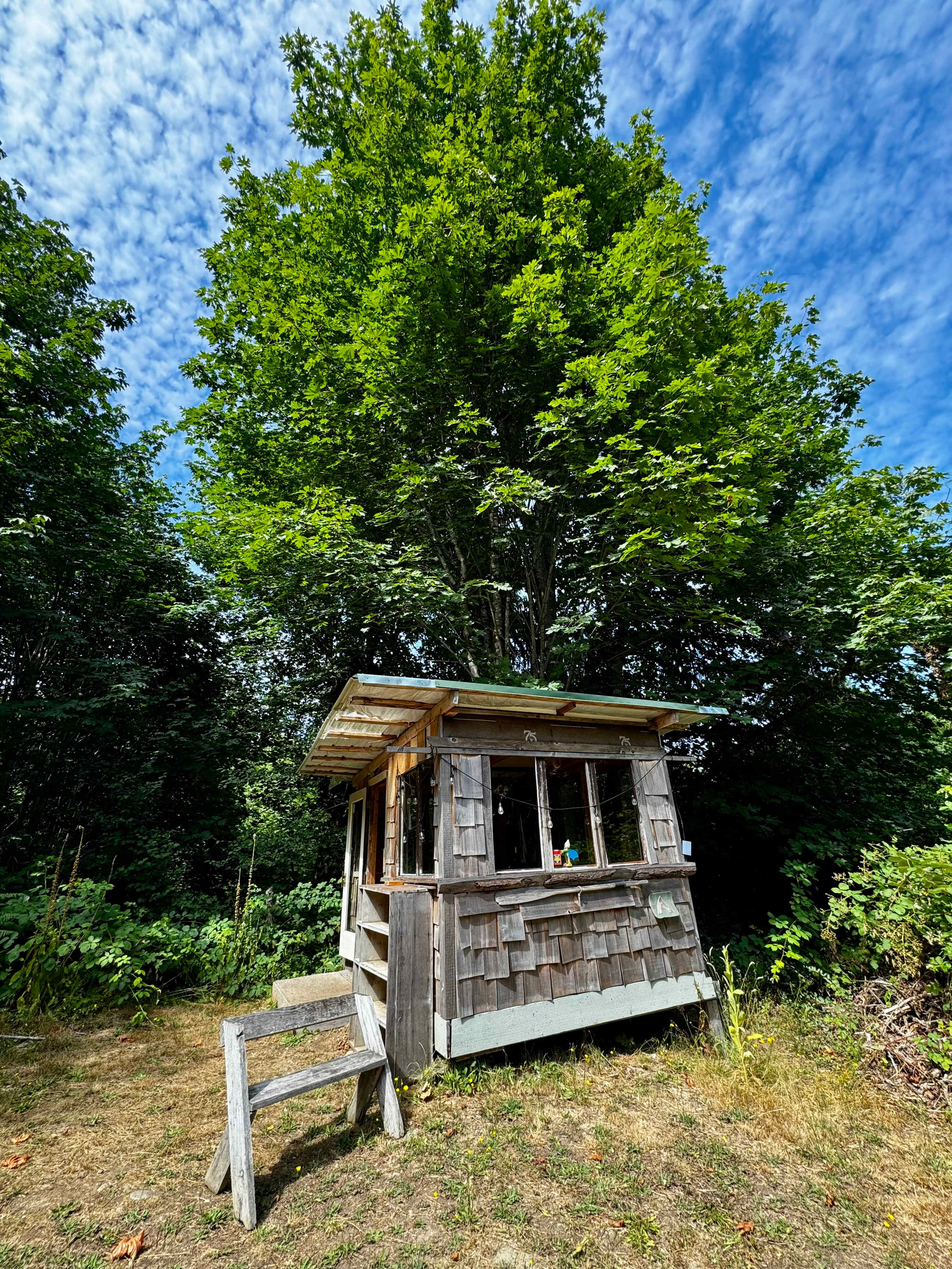 Rutabaga Ridge