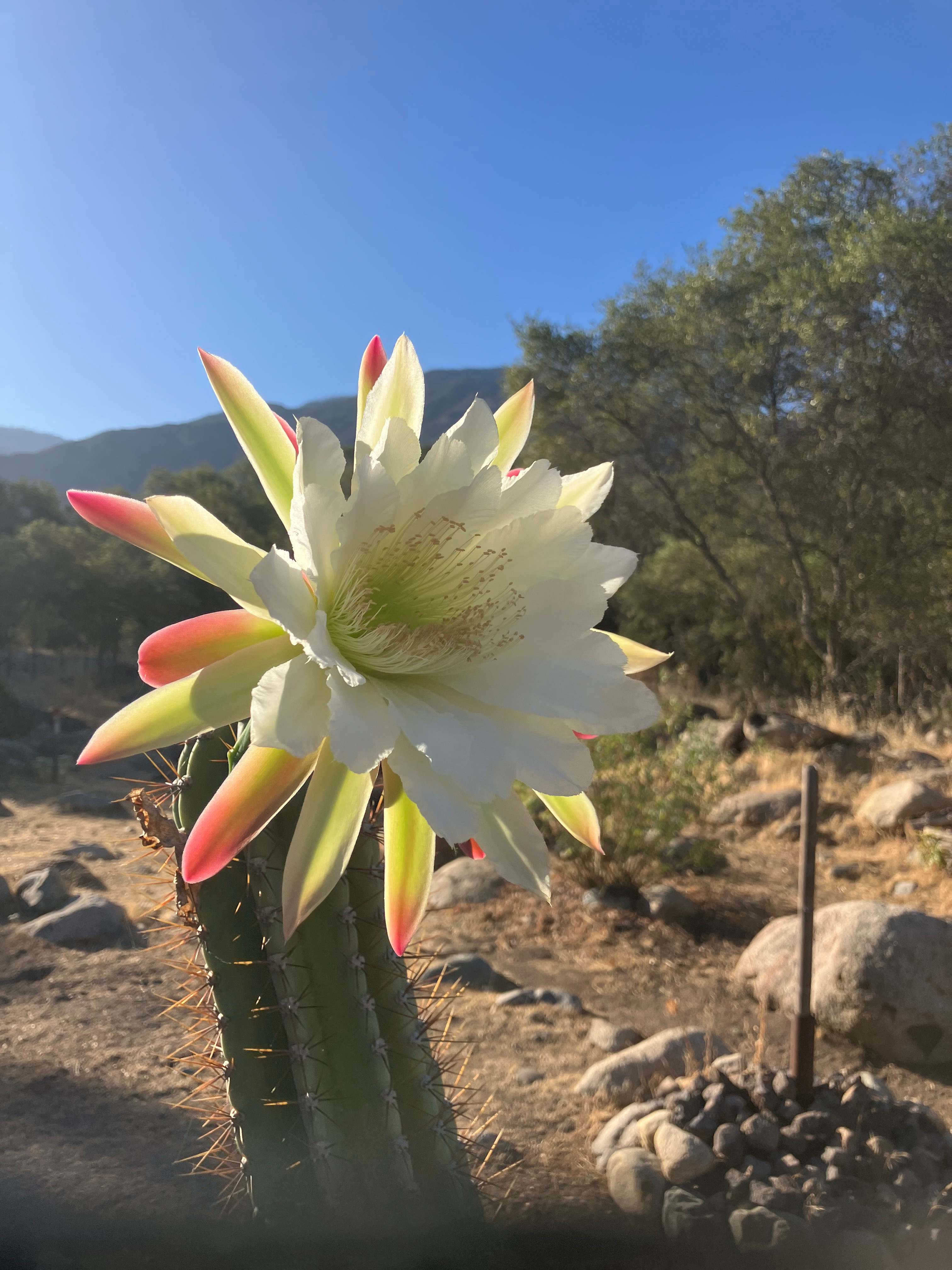 Private Sanctuary on the Tule River