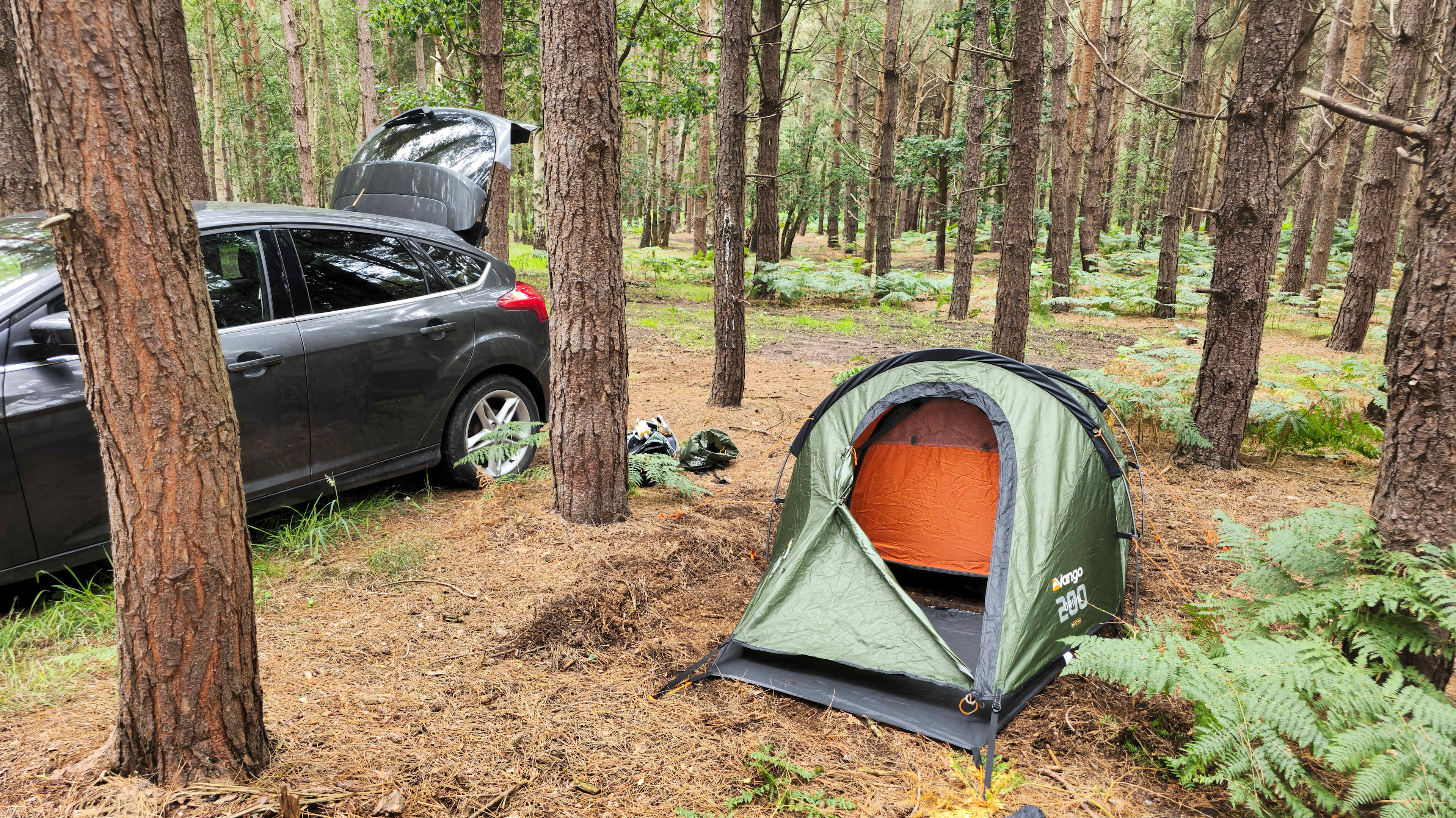 Holistic Woods Wild Campsite