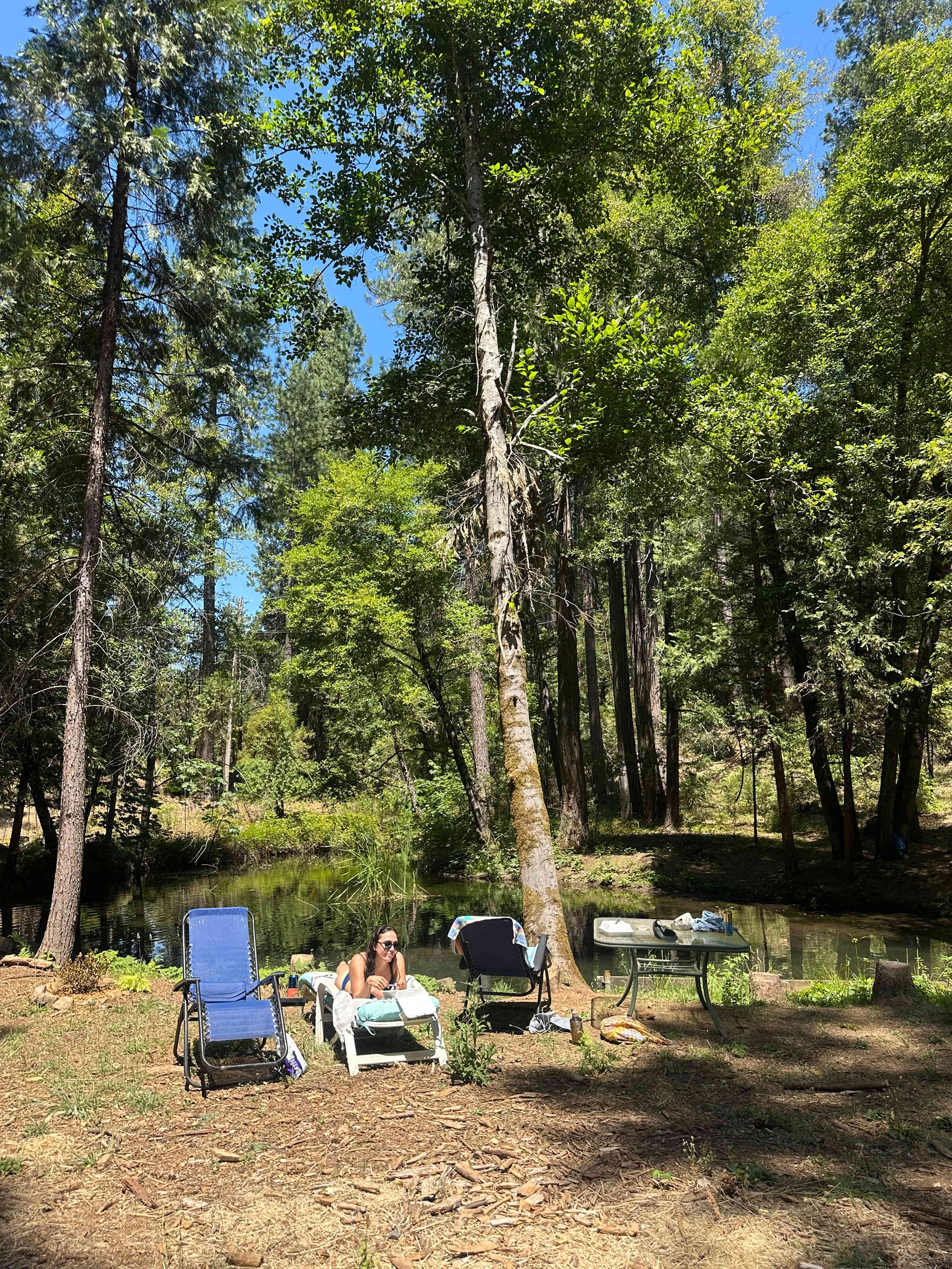 Afternoon by the river