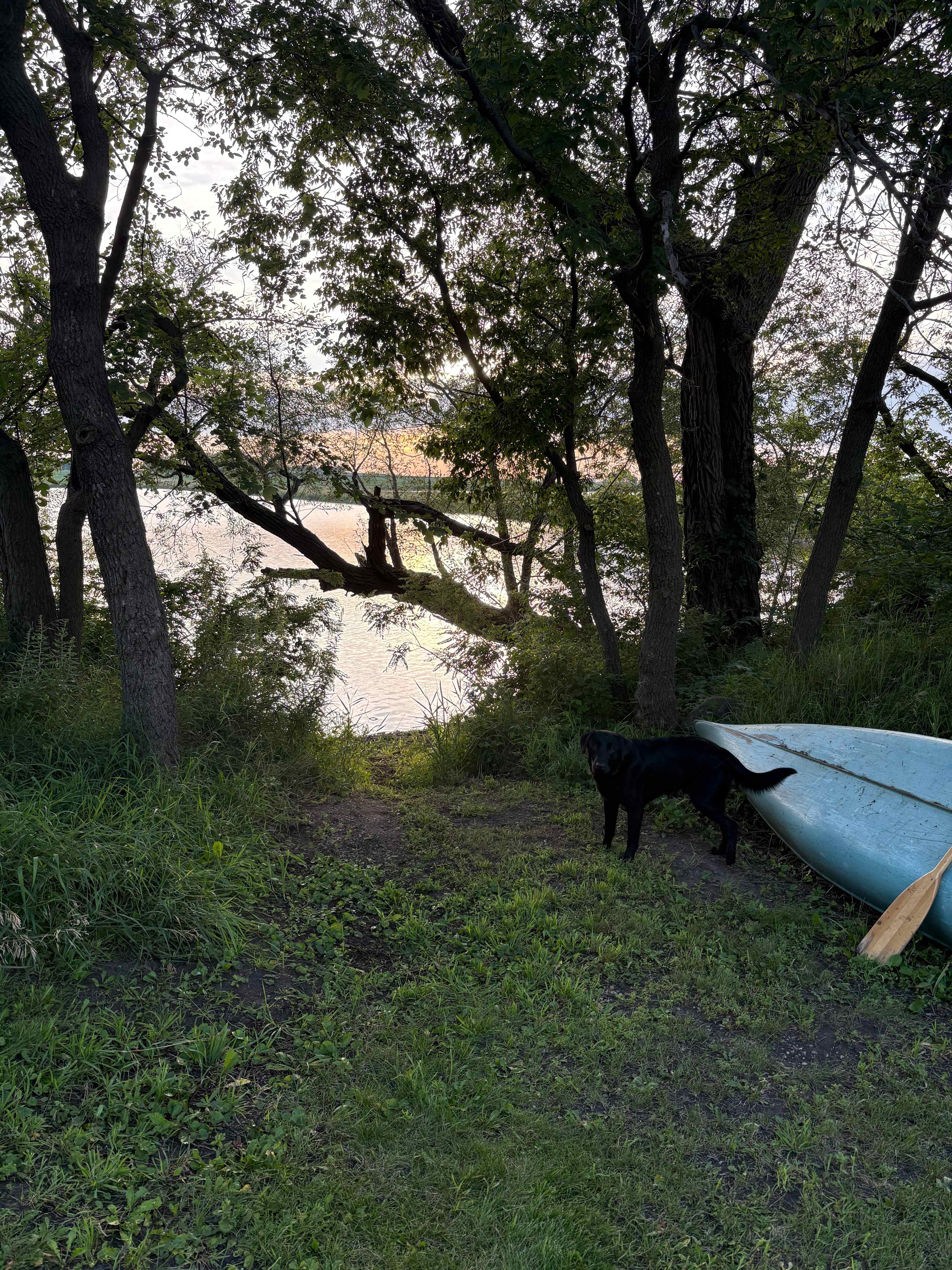 Boat launch/lake access at site 1