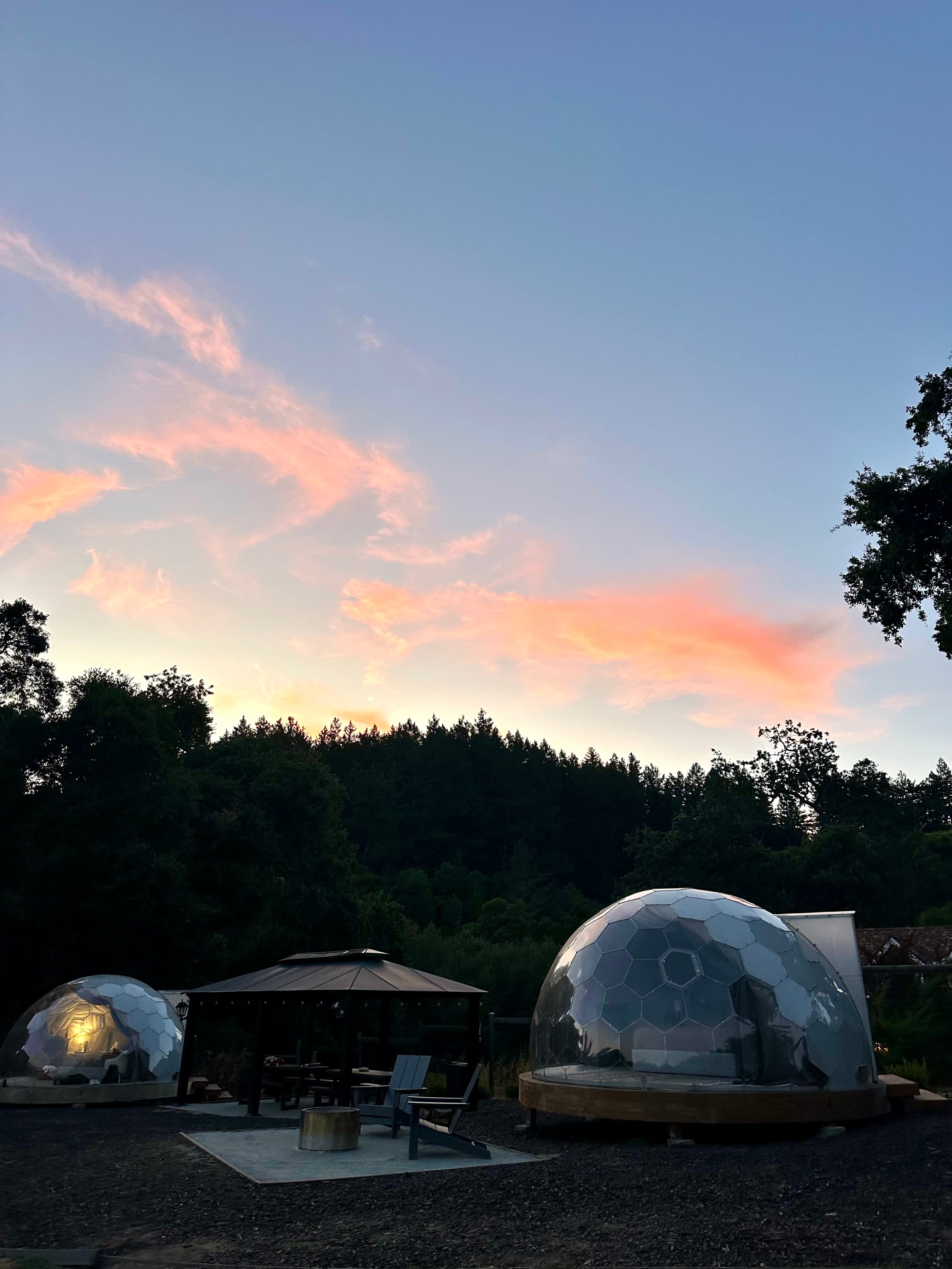Hilltop Vineyard Dome Glamping