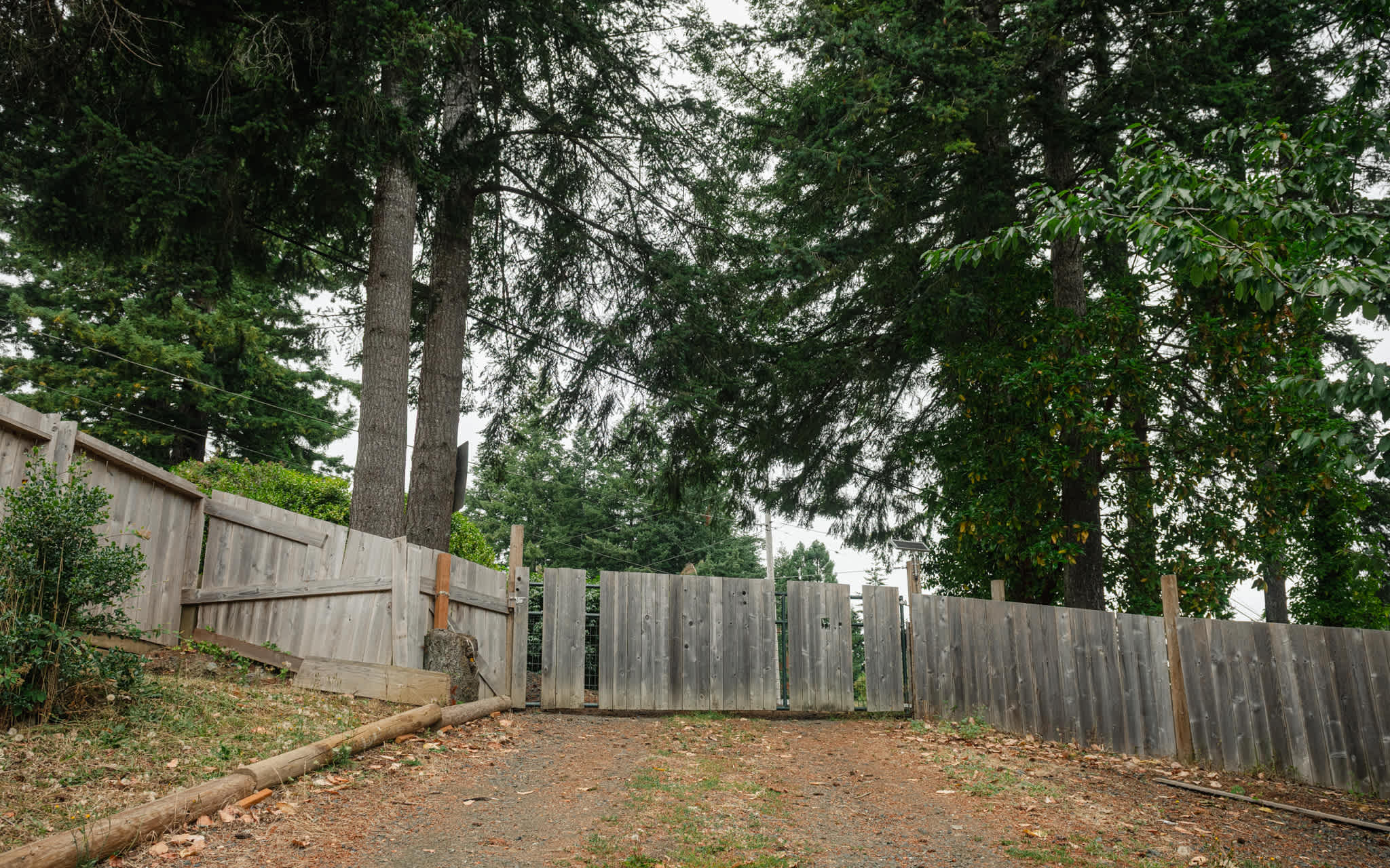 First Gate into the Driveway