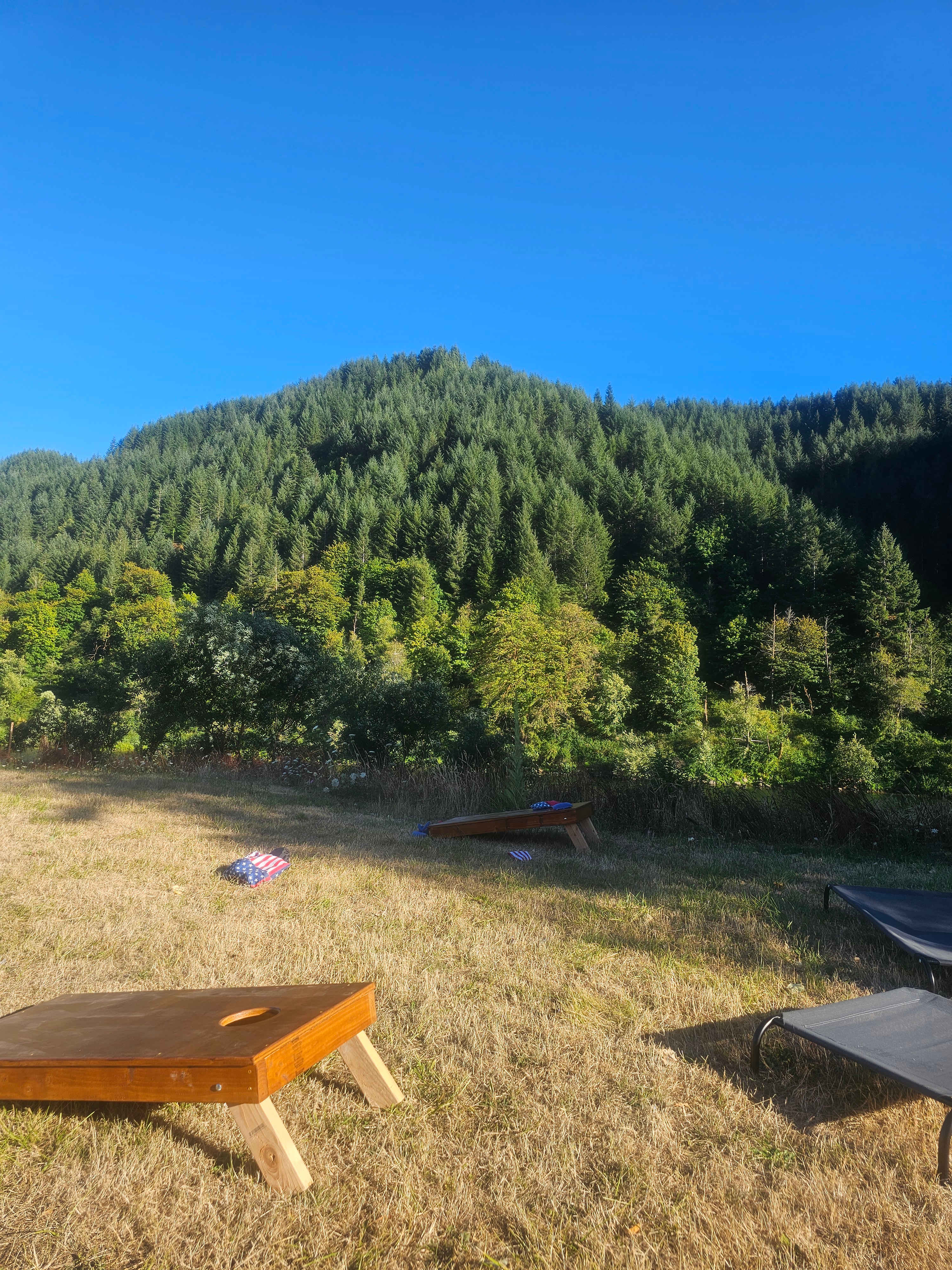 Tyee Farm