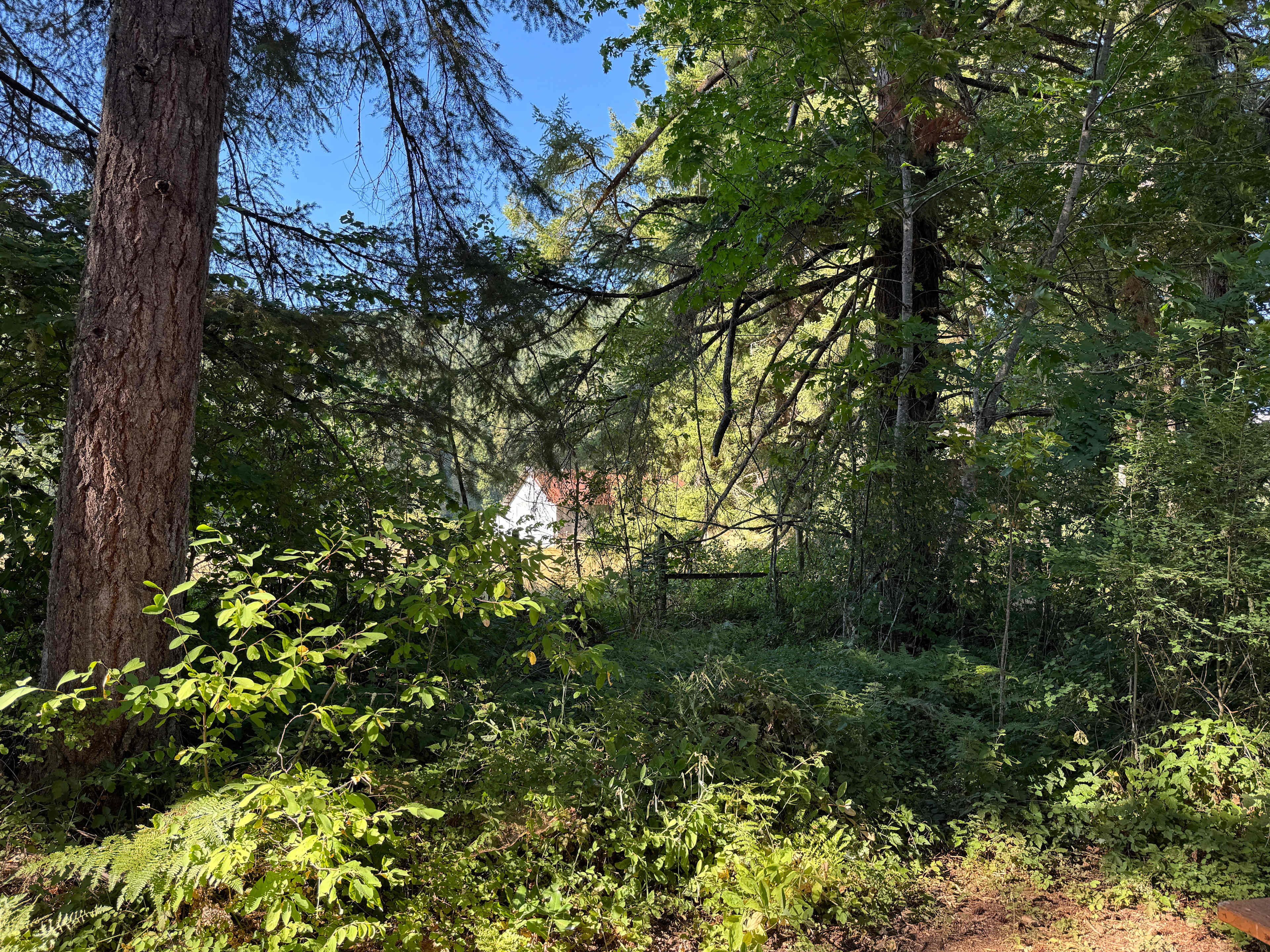 Taken from my campsite.