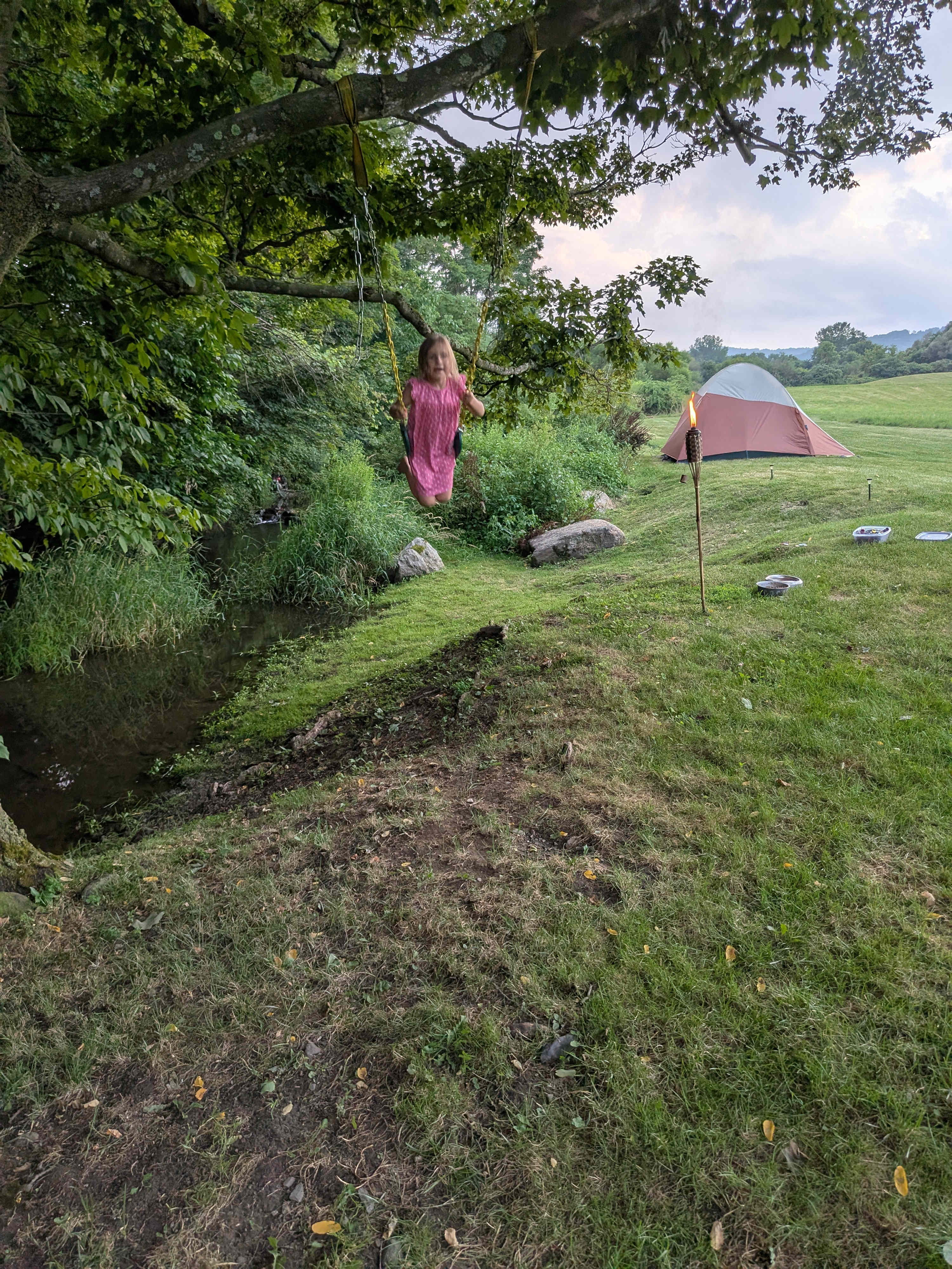 Swinging by the stream 