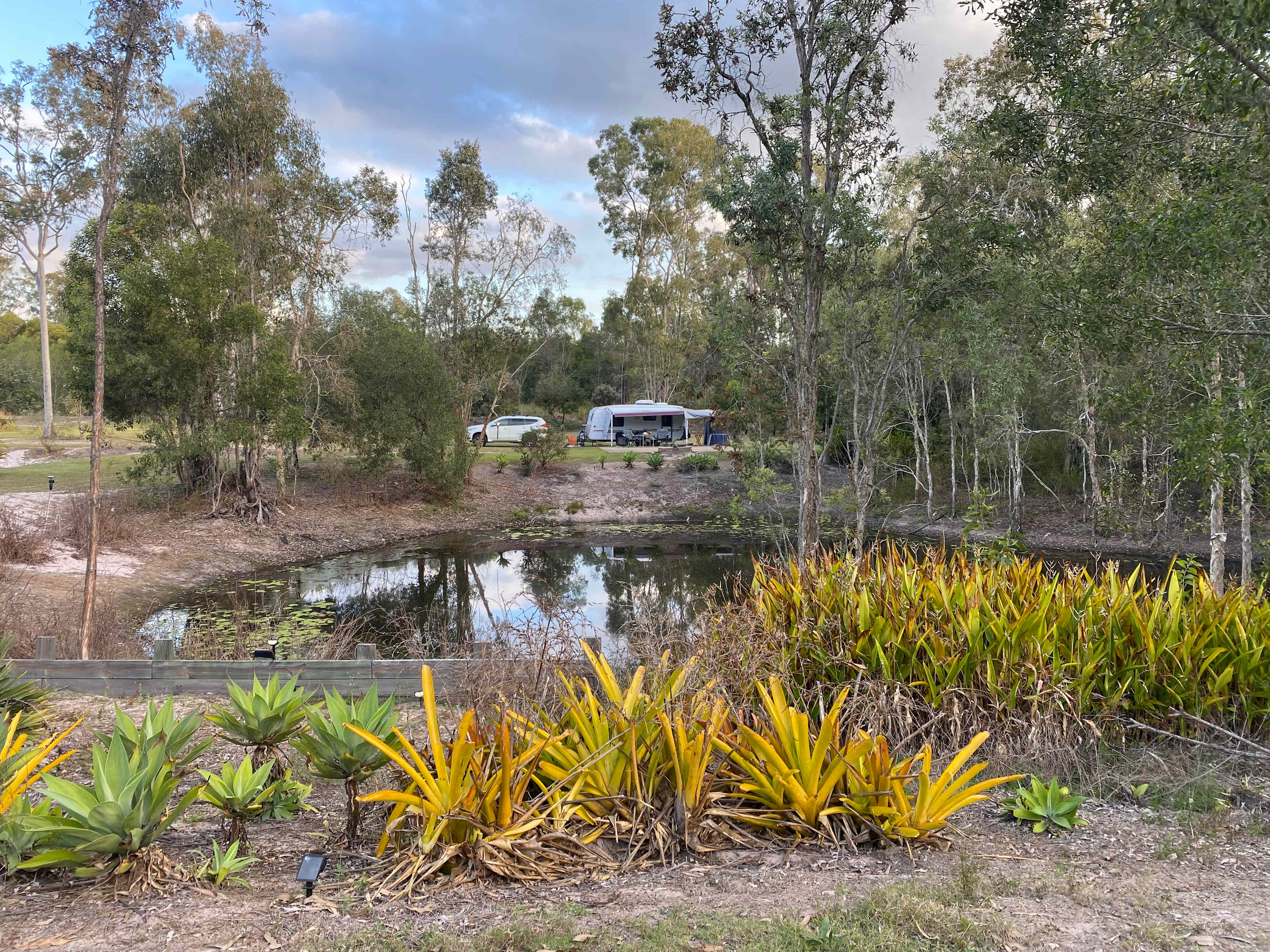 Right next to the pond