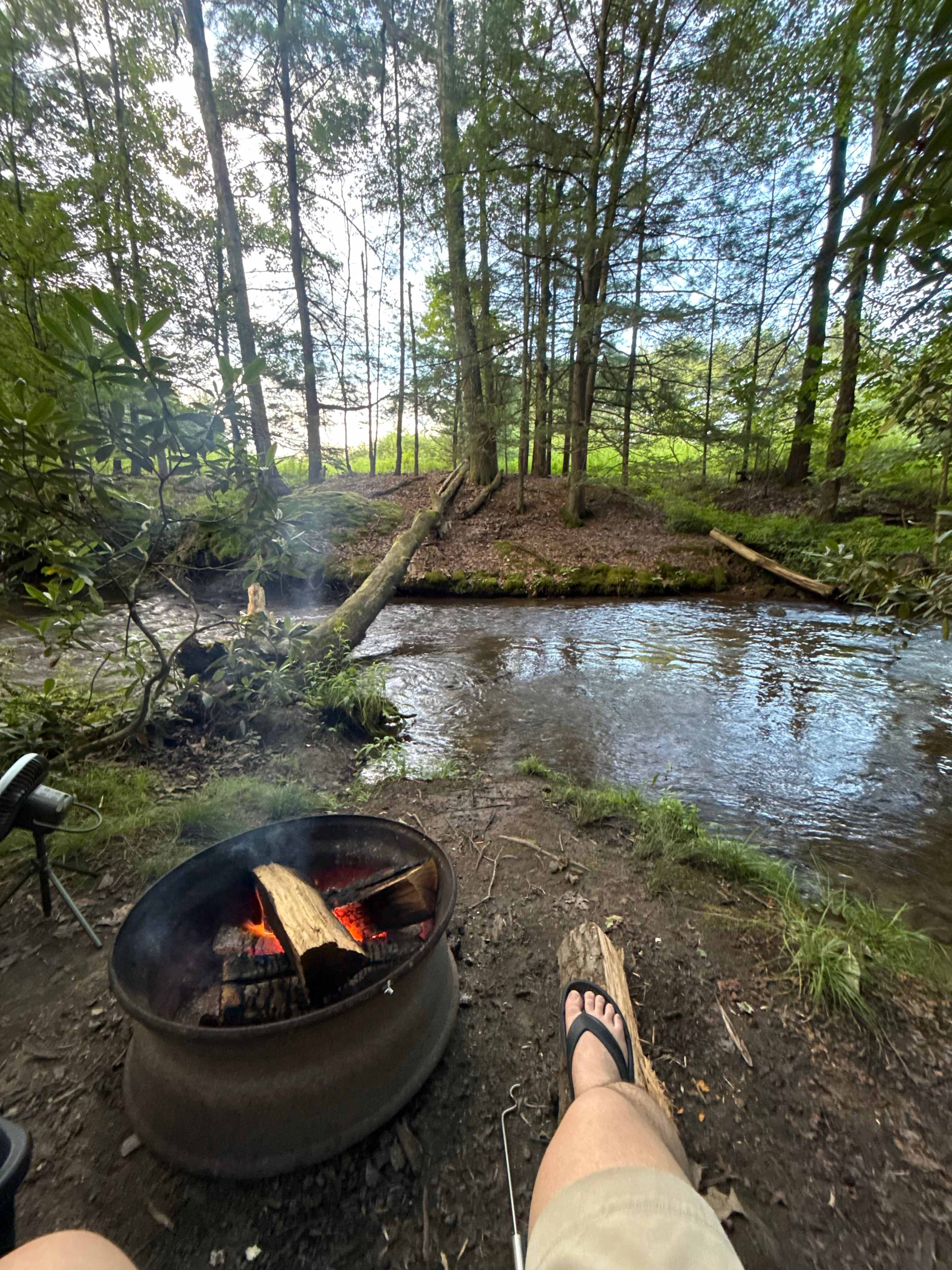 Bald Eagle Campsite