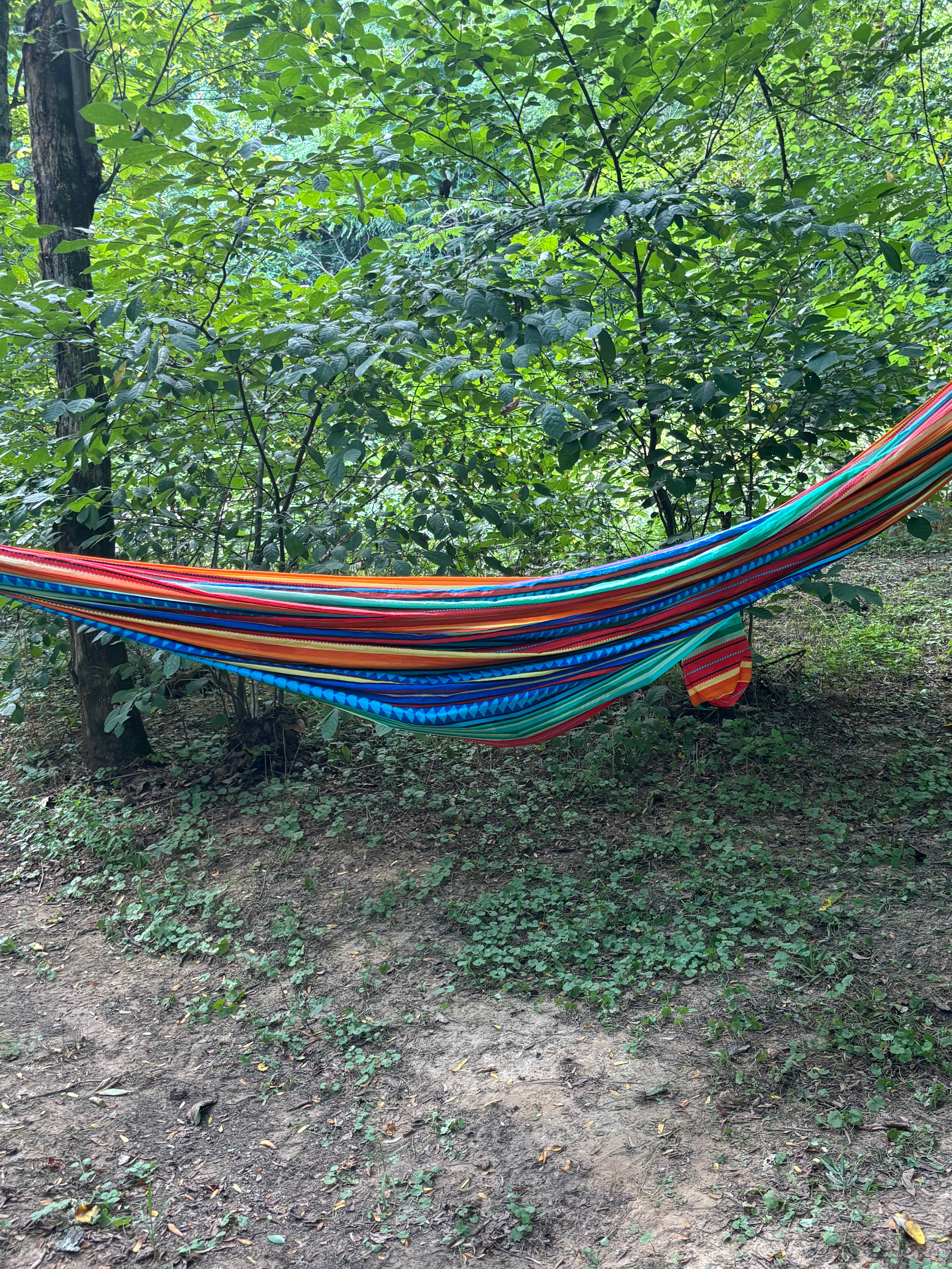 Fox Field Farms Creekside Camping