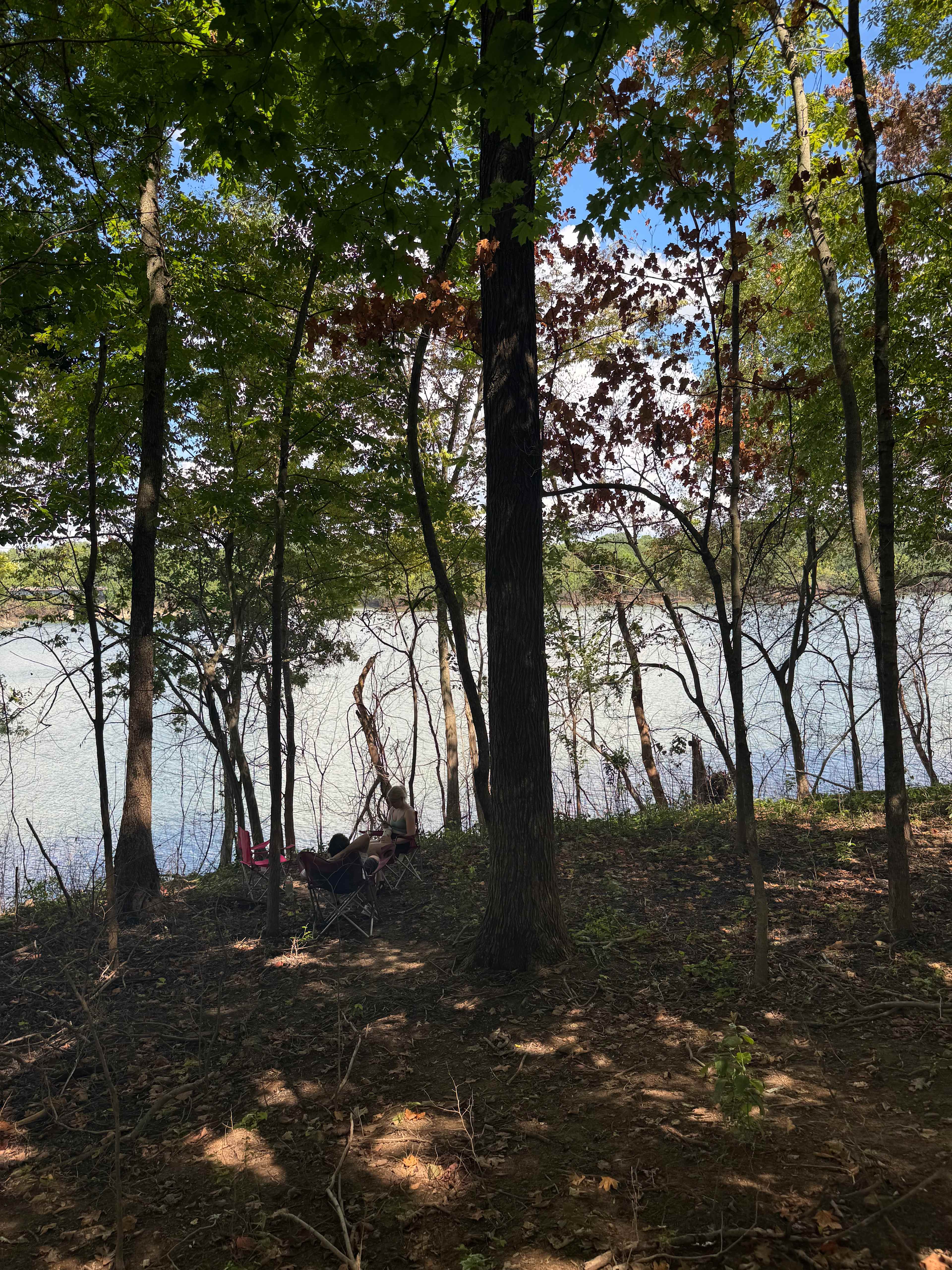 On the back of the farm