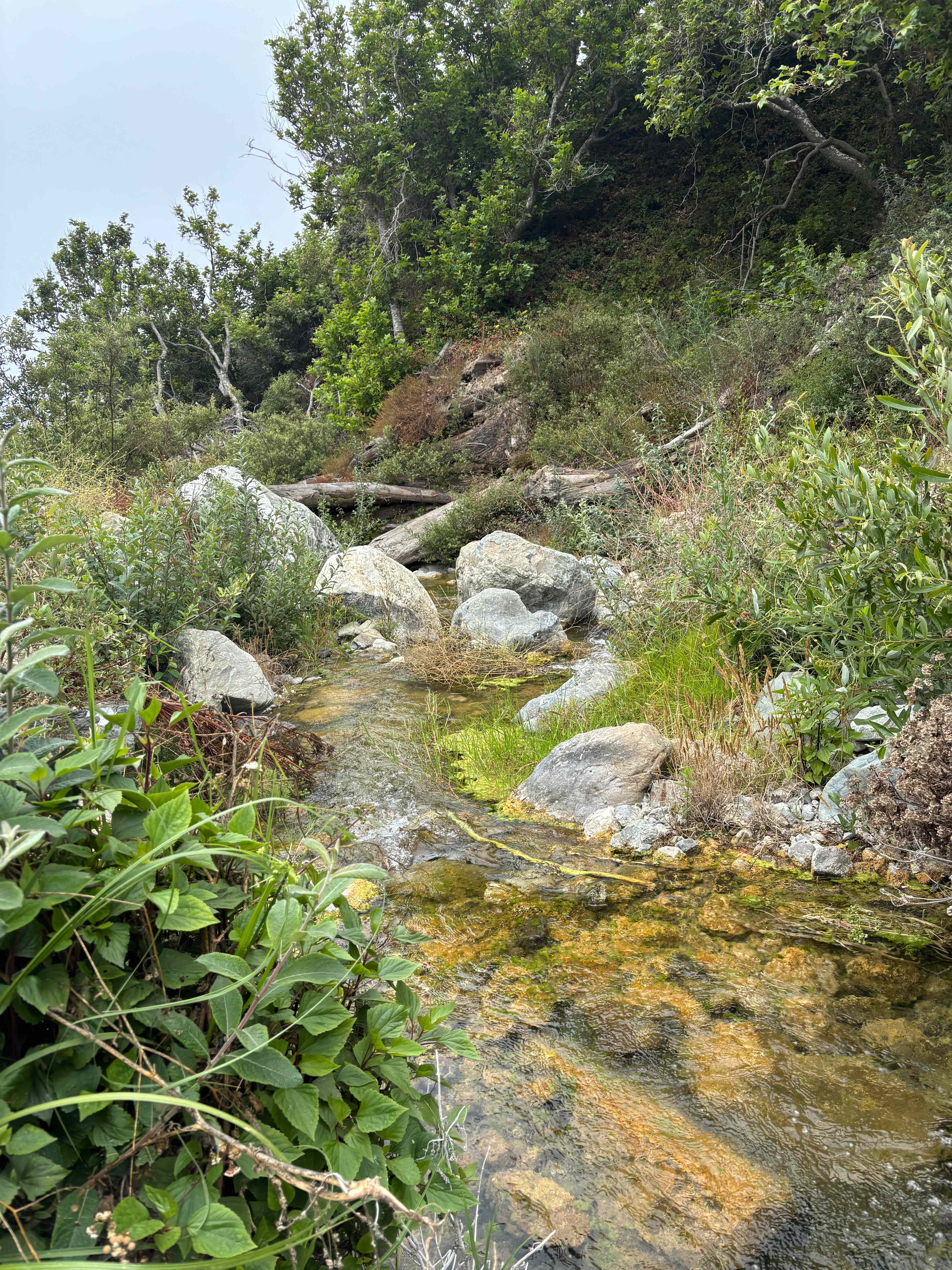 dabudage Big Sur