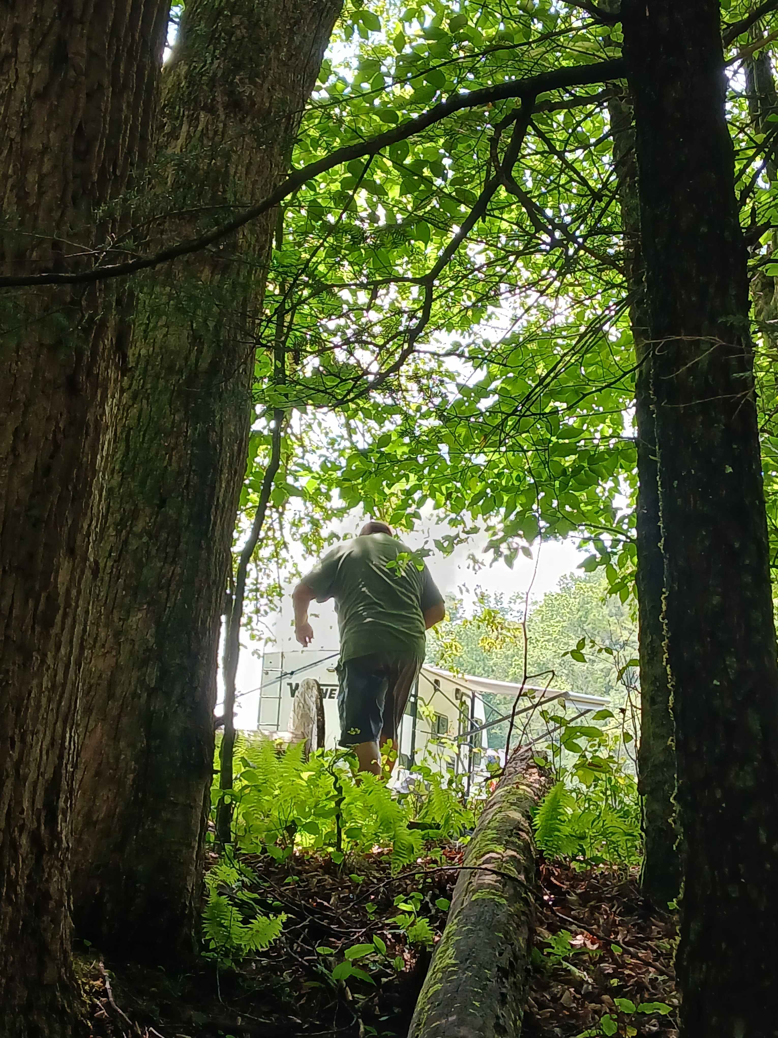 Walking away from creek to camp site