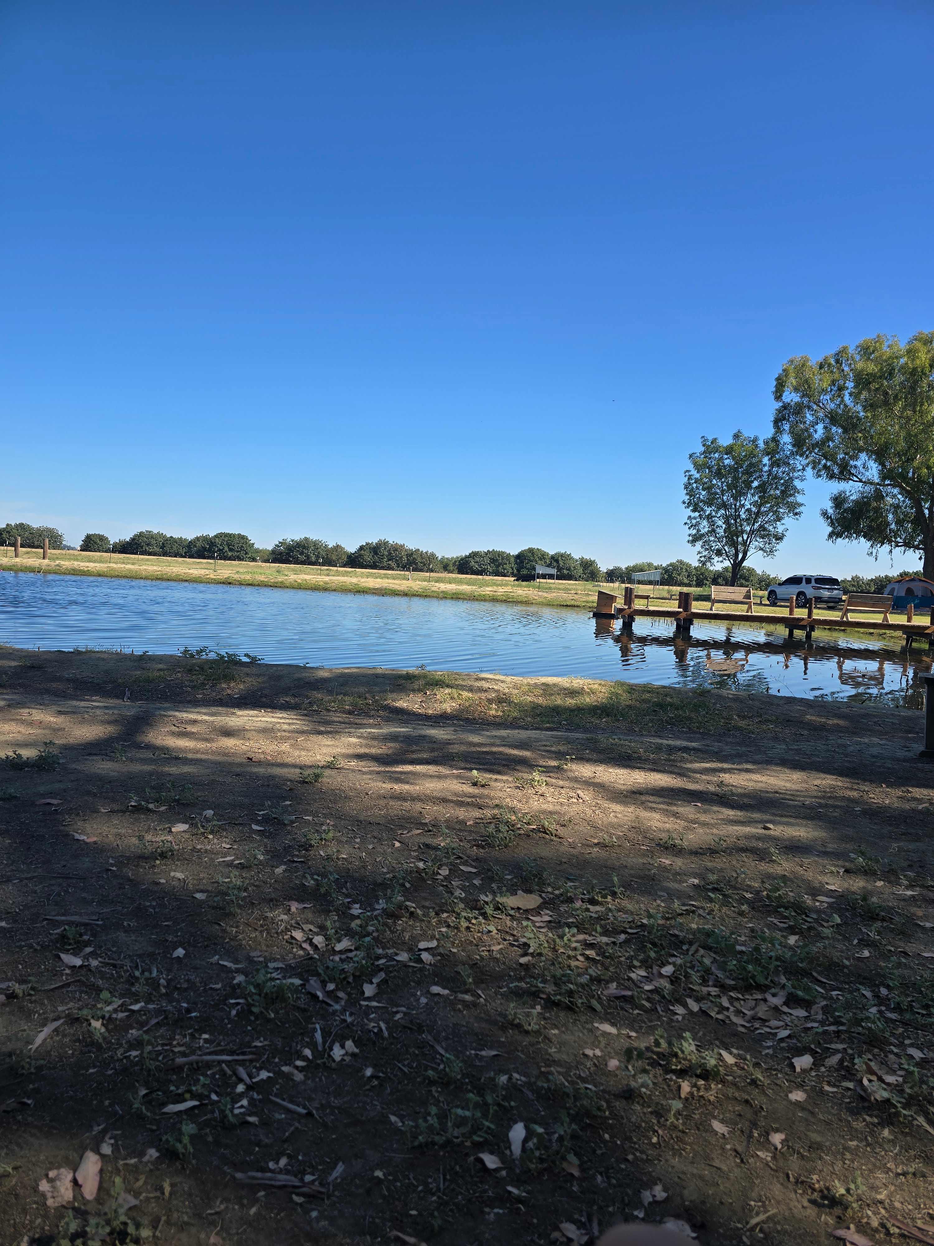 Bakersfield Farm Animals & Pond