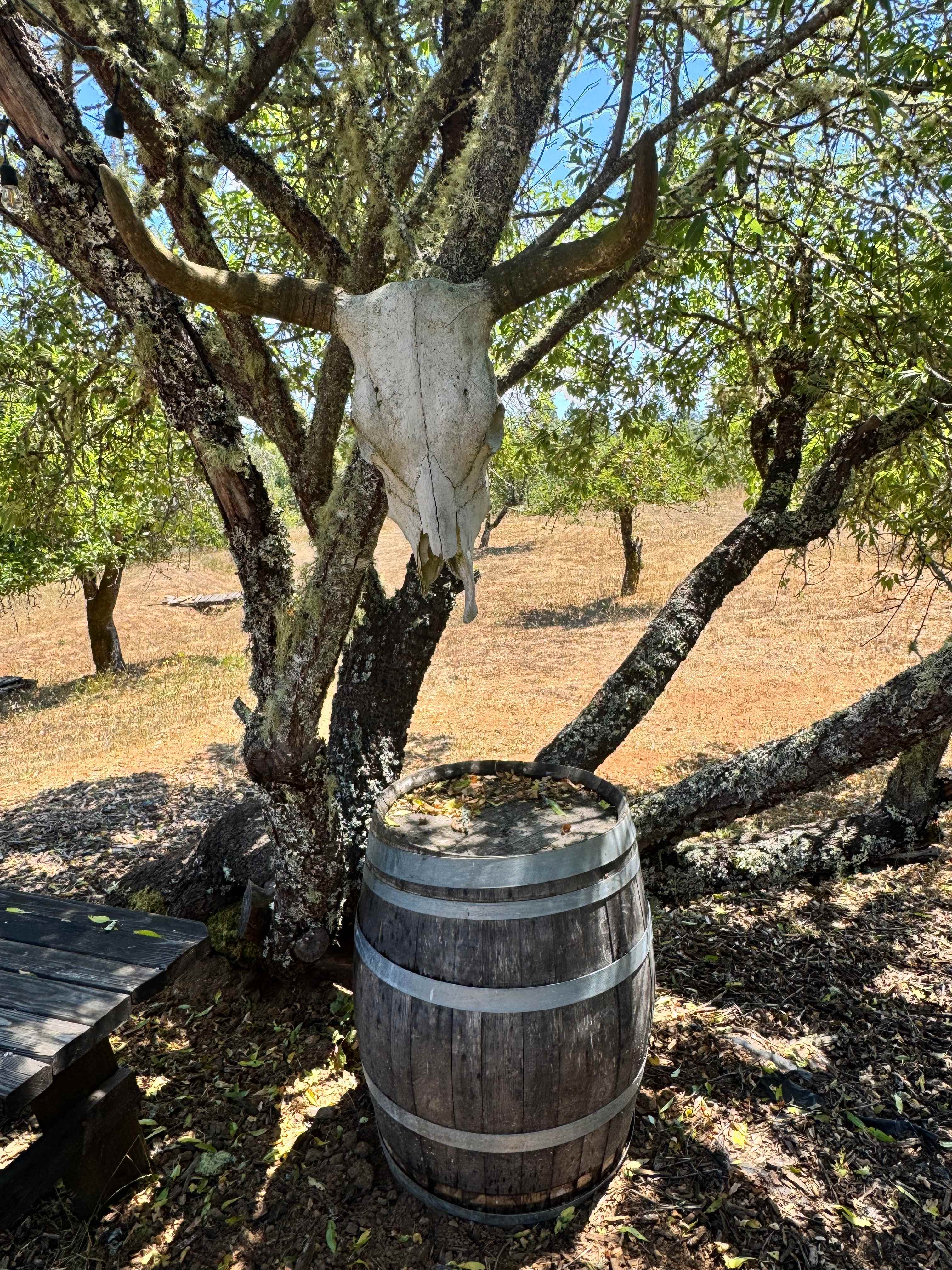 Rancho Laslendini