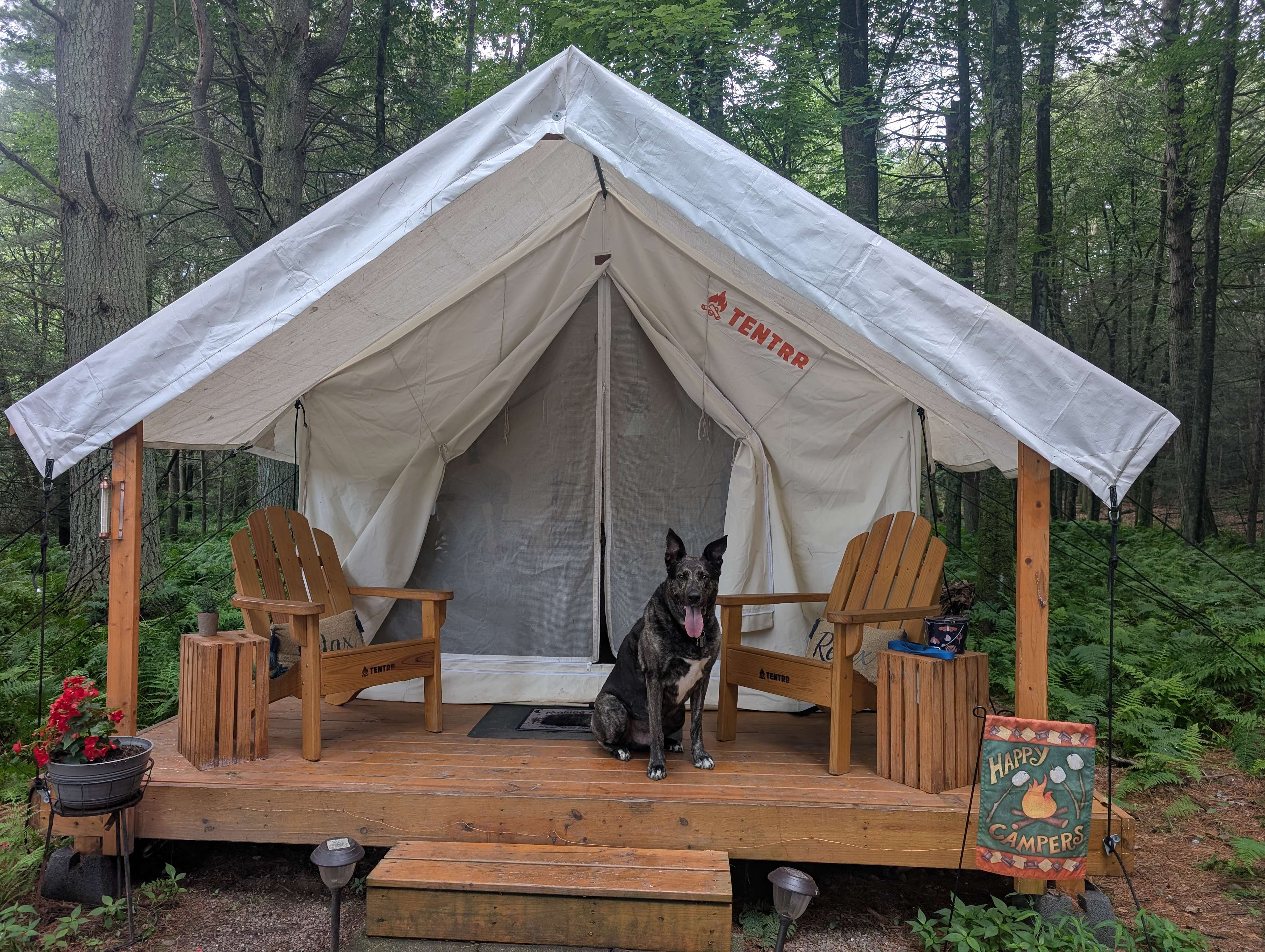 Paper Mill Pines Glamping Getaway